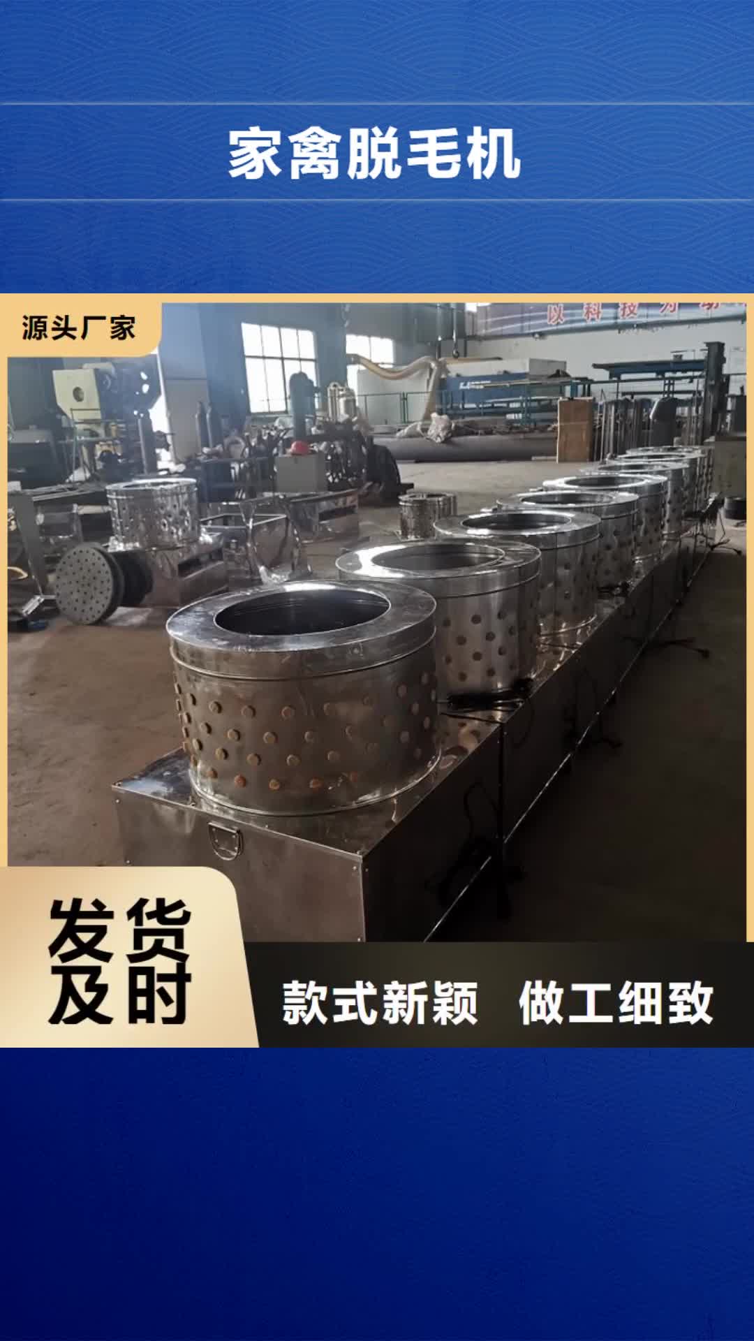 临沂【家禽脱毛机】 输送机厂家助您降低采购成本