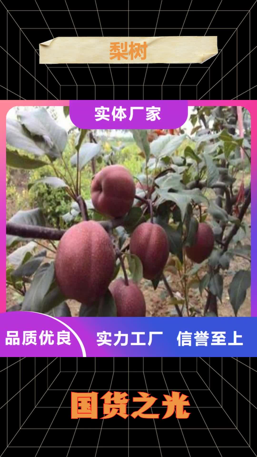 四平【梨树】桃树苗您身边的厂家
