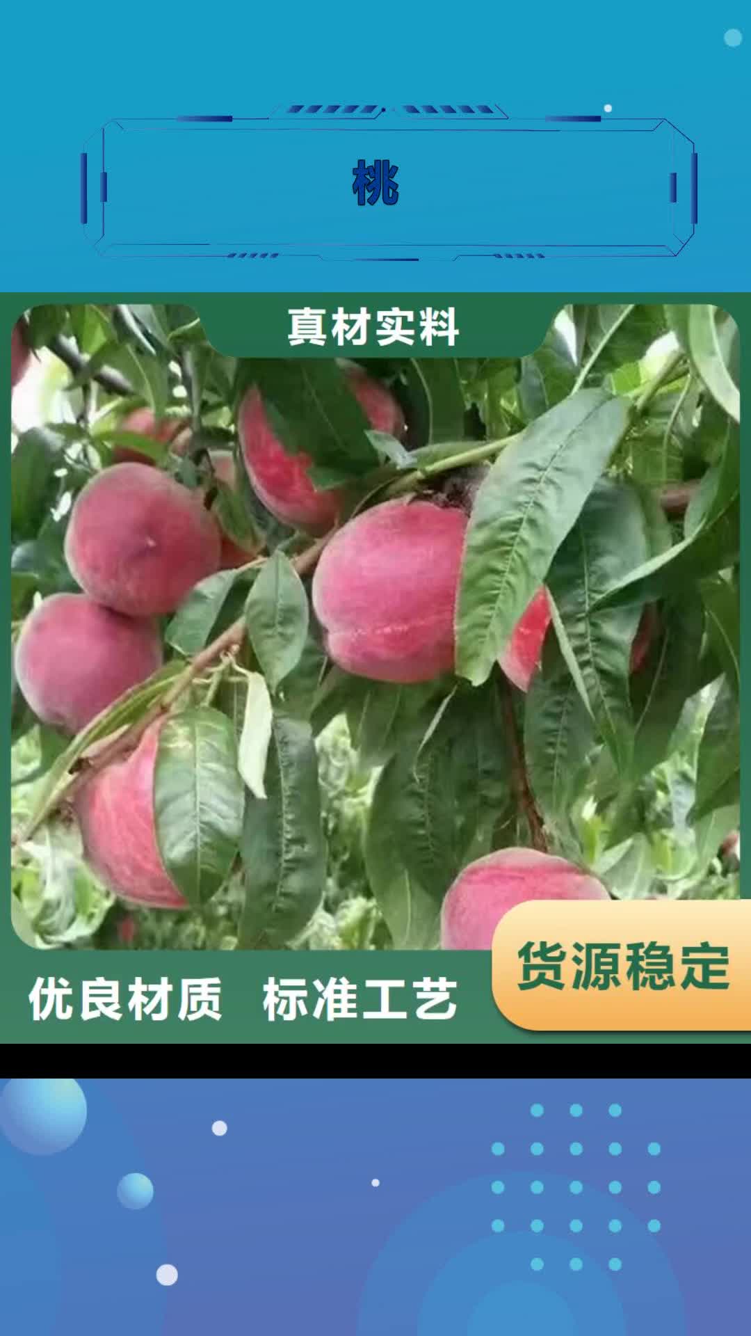 宜春 桃_【樱桃苗】高标准高品质