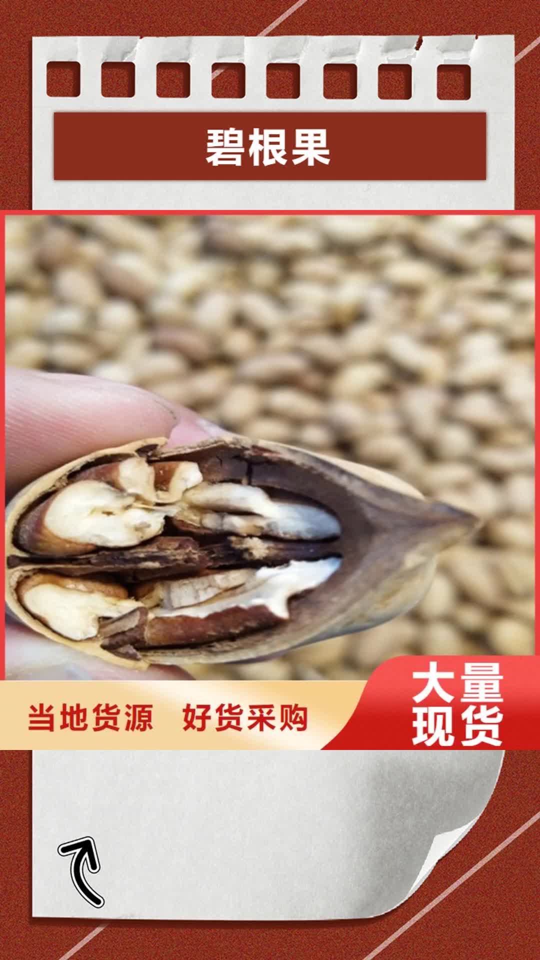 南阳 碧根果,【苹果苗】一站式供应