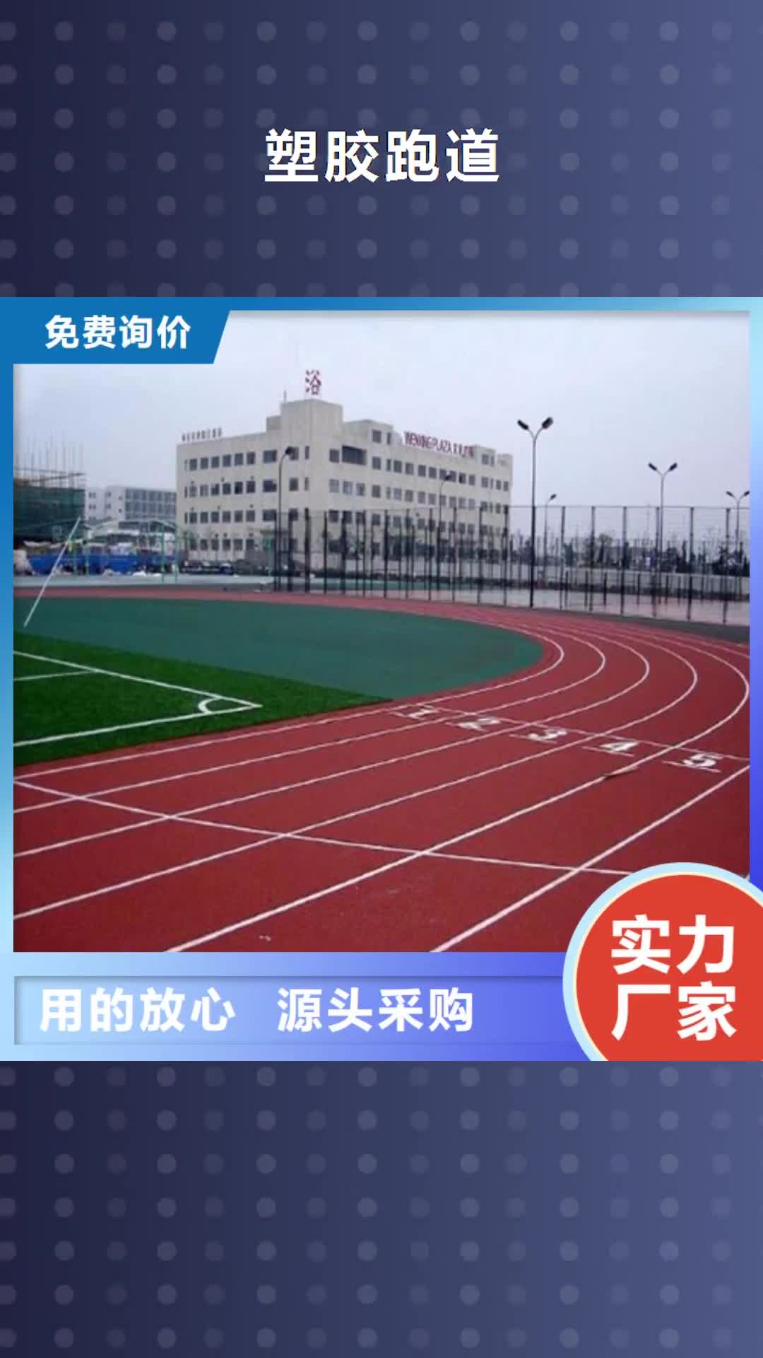 【汕尾 塑胶跑道幼儿园地坪厂家直销放心】