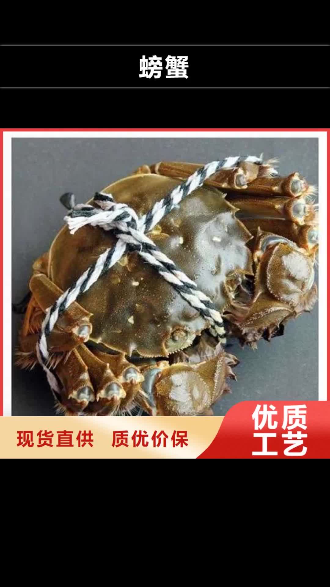 安阳 螃蟹【阳澄湖大闸蟹】售后无忧