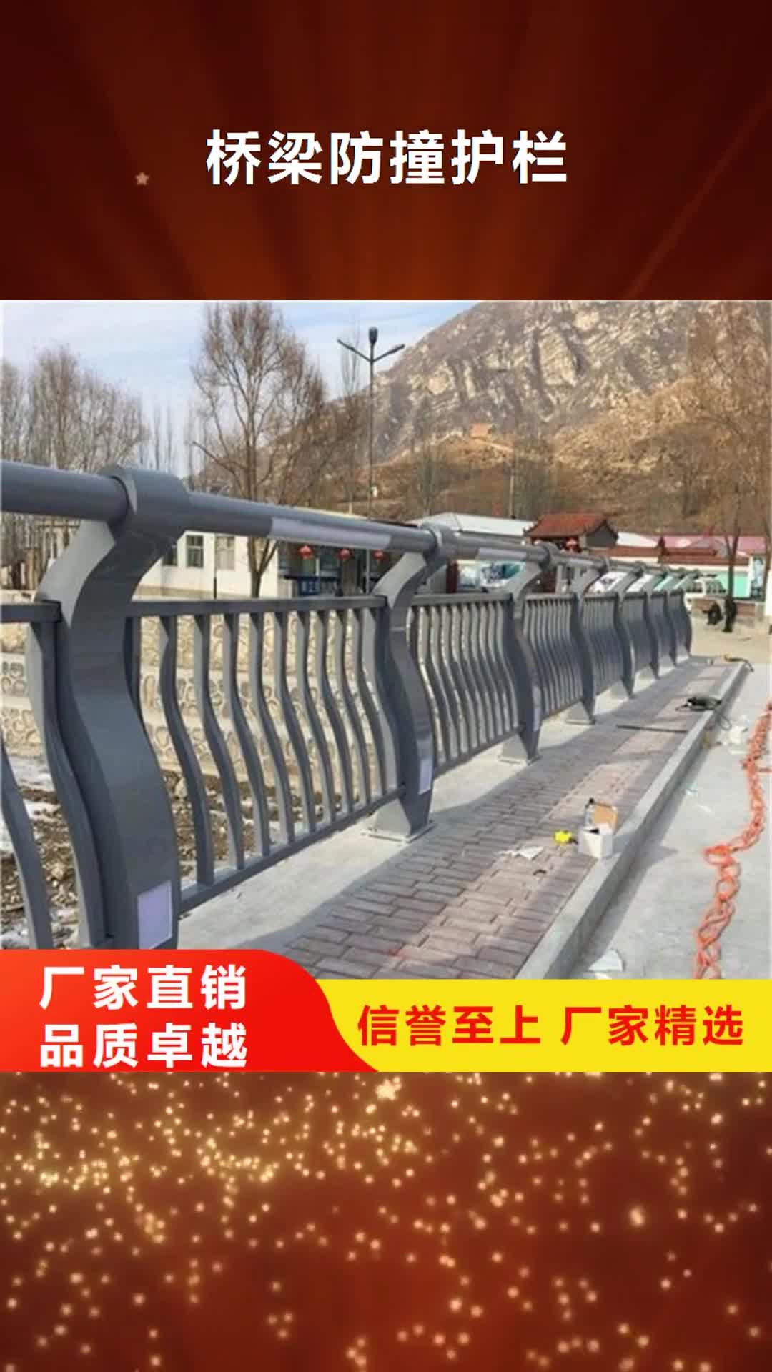 【漳州 桥梁防撞护栏桥梁立柱正规厂家】