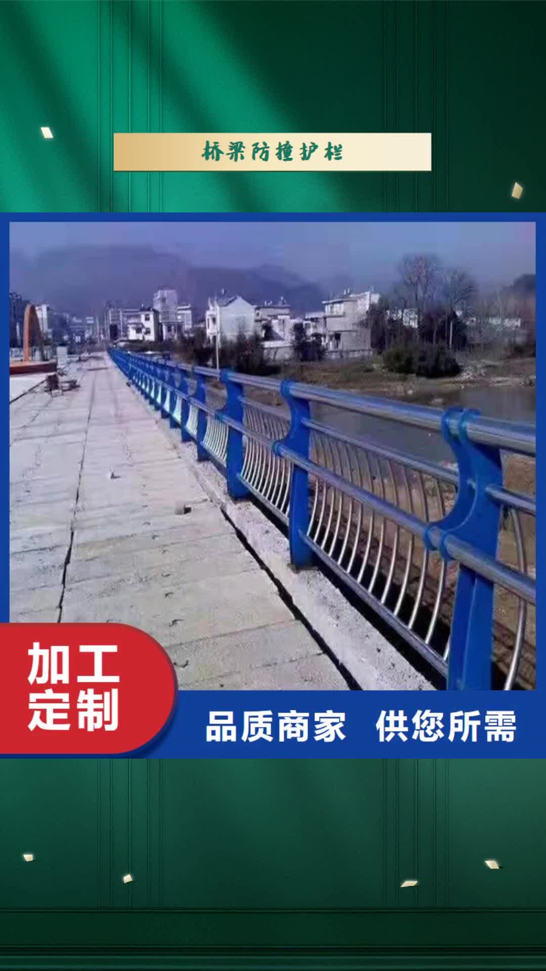 【南阳 桥梁防撞护栏 防撞护栏来图定制】