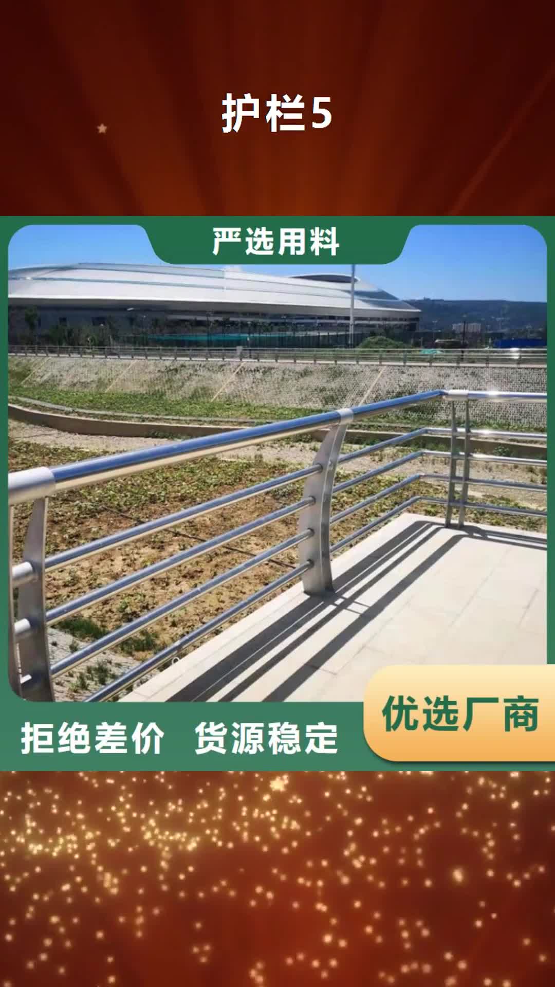 【西宁 护栏5 桥梁栏杆工艺精细质保长久】