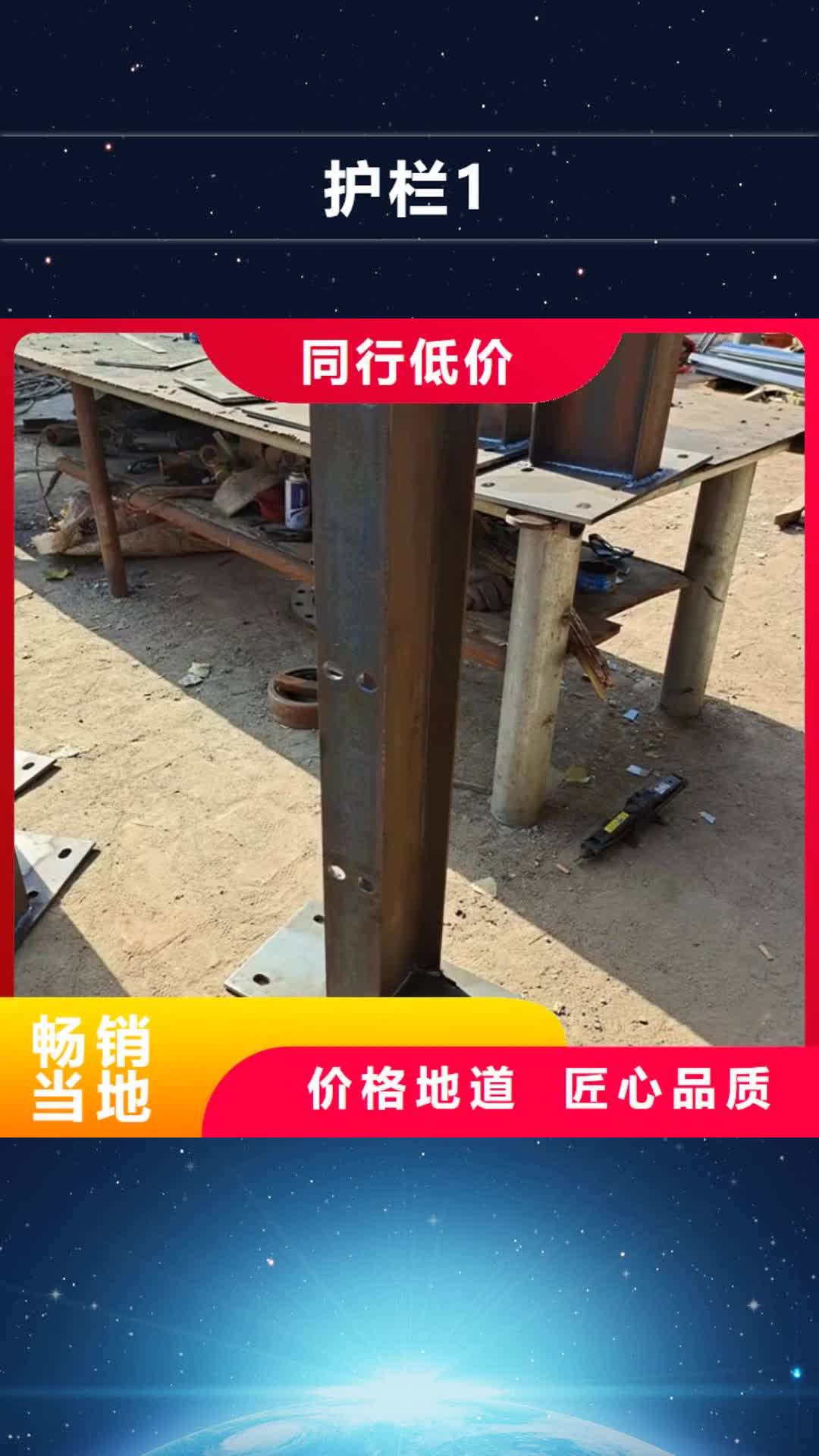 榆林【护栏1】-景观护栏实力公司