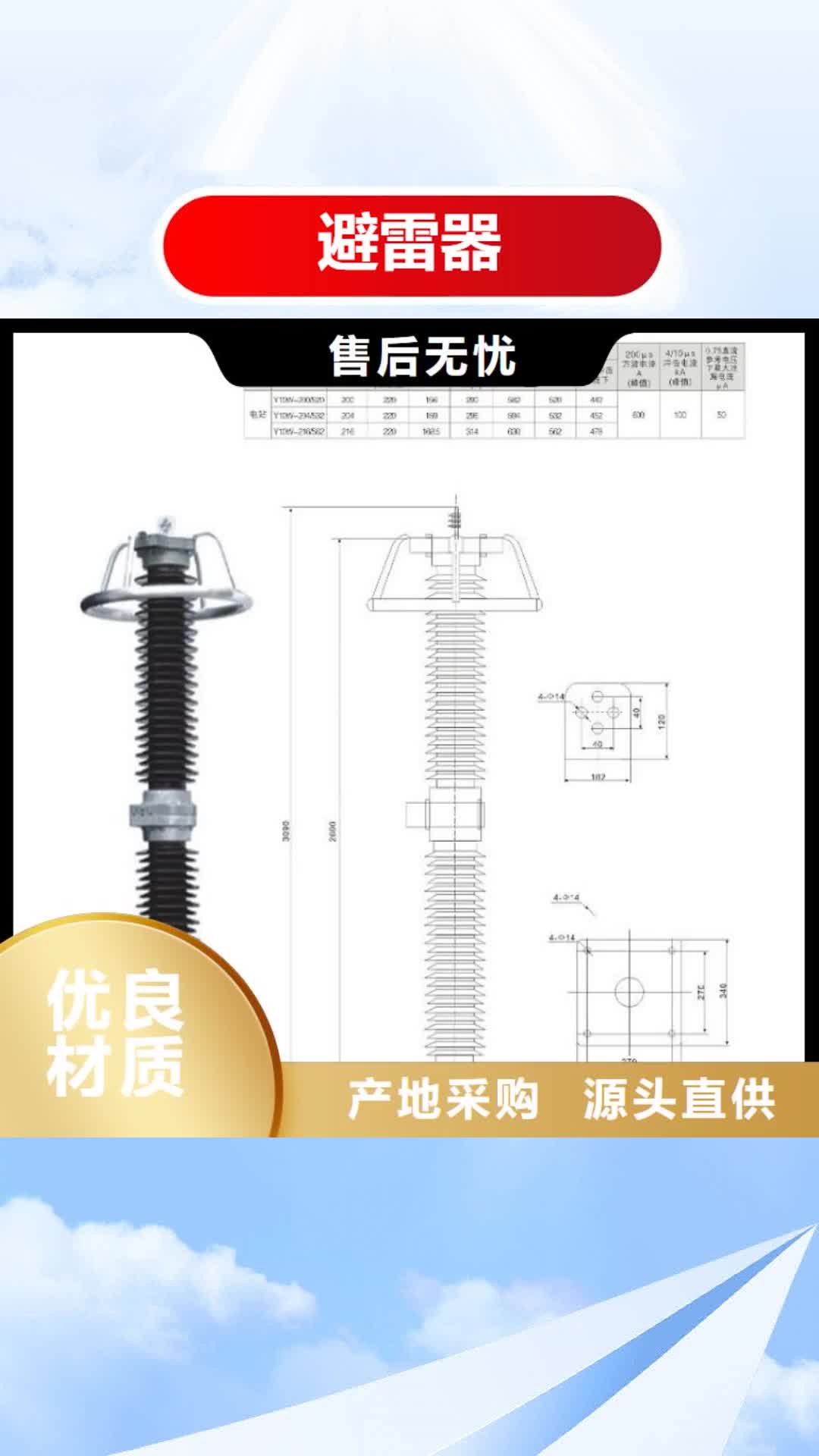 大兴安岭避雷器绝缘子生产型