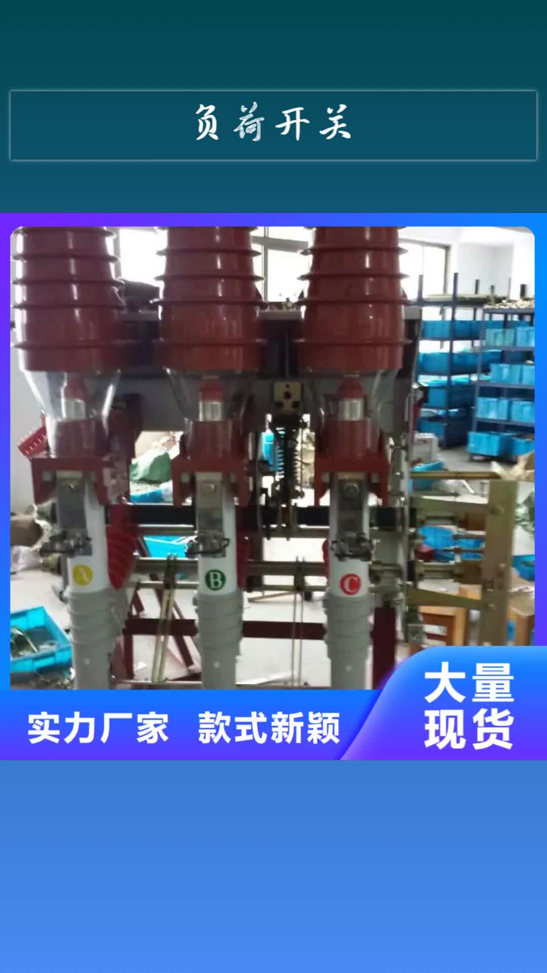 山南负荷开关跌落式熔断器打造行业品质