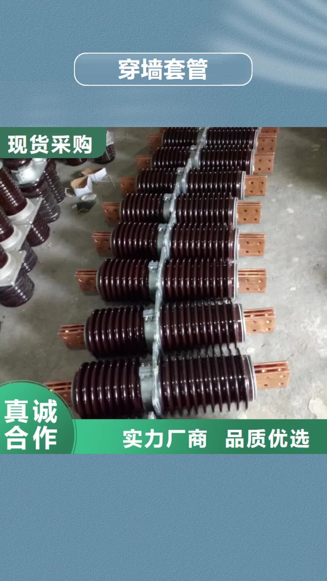 河源穿墙套管高压隔离开关订购