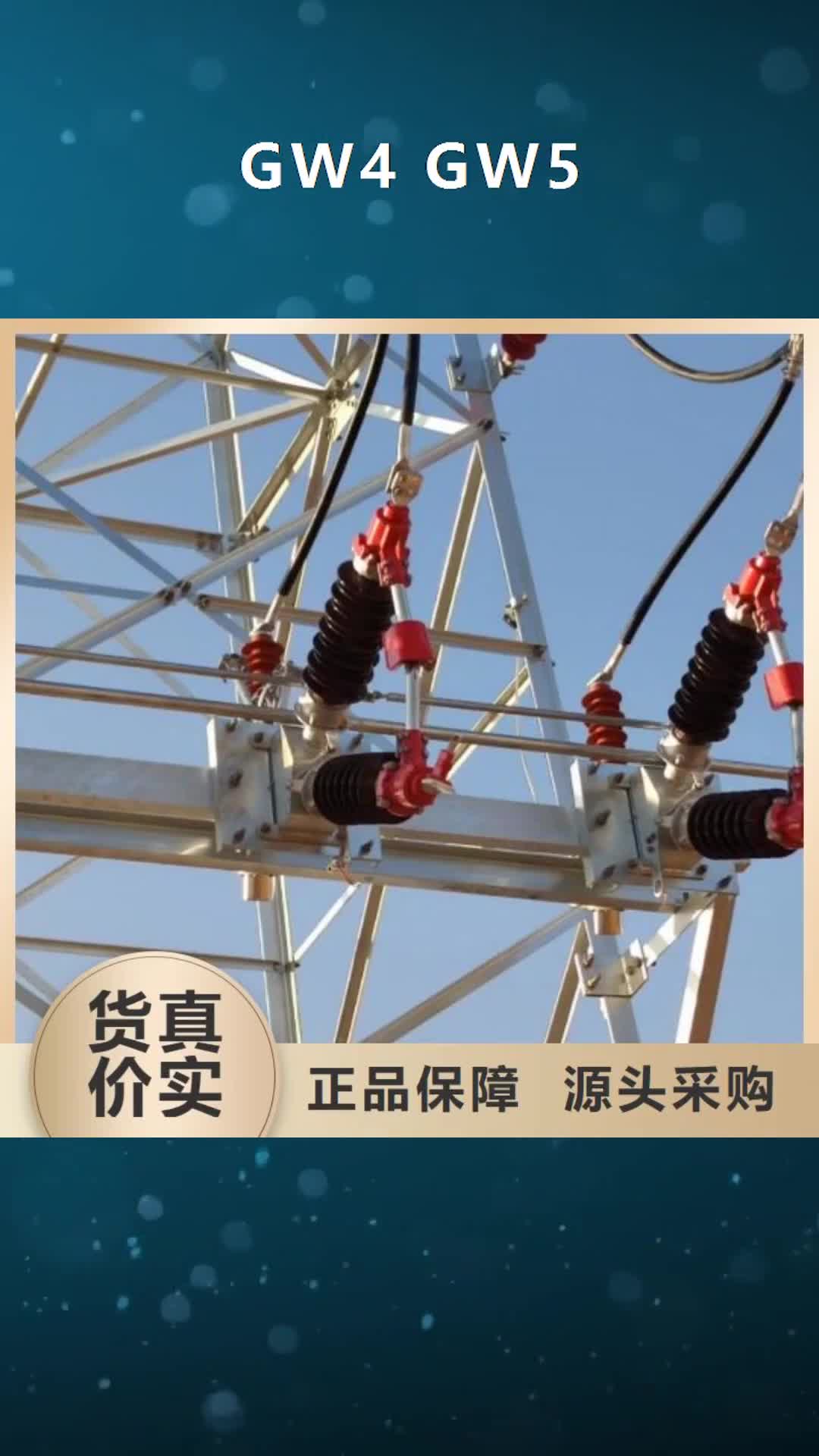 【景德镇 GW4  GW5-穿墙套管现货齐全售后无忧】
