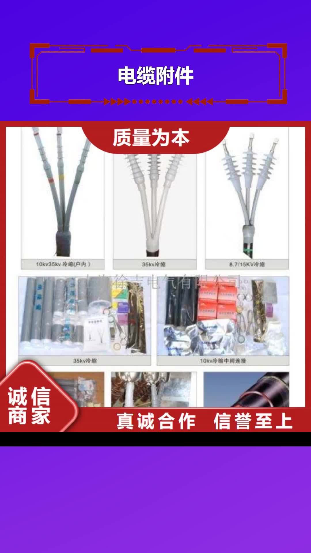 广西电缆附件_【跌落式熔断器】客户满意度高