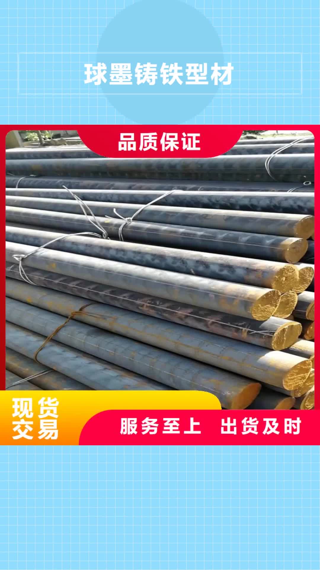 泸州球墨铸铁型材球墨铸铁棒一致好评产品