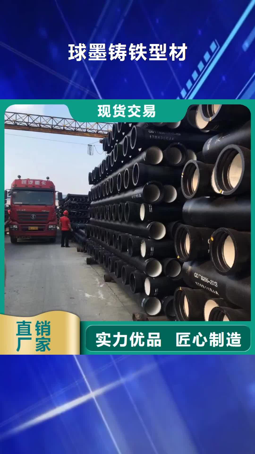绵阳球墨铸铁型材【球墨铸铁棒】高质量高信誉