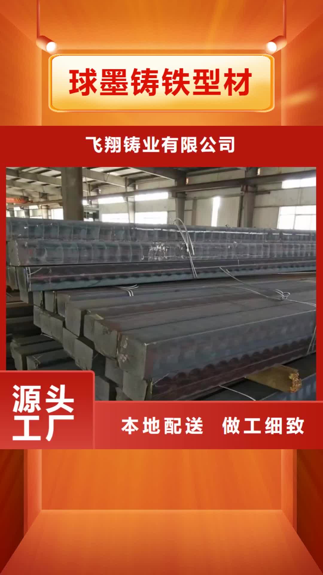 雅安【球墨铸铁型材】-球墨铸铁棒免费询价