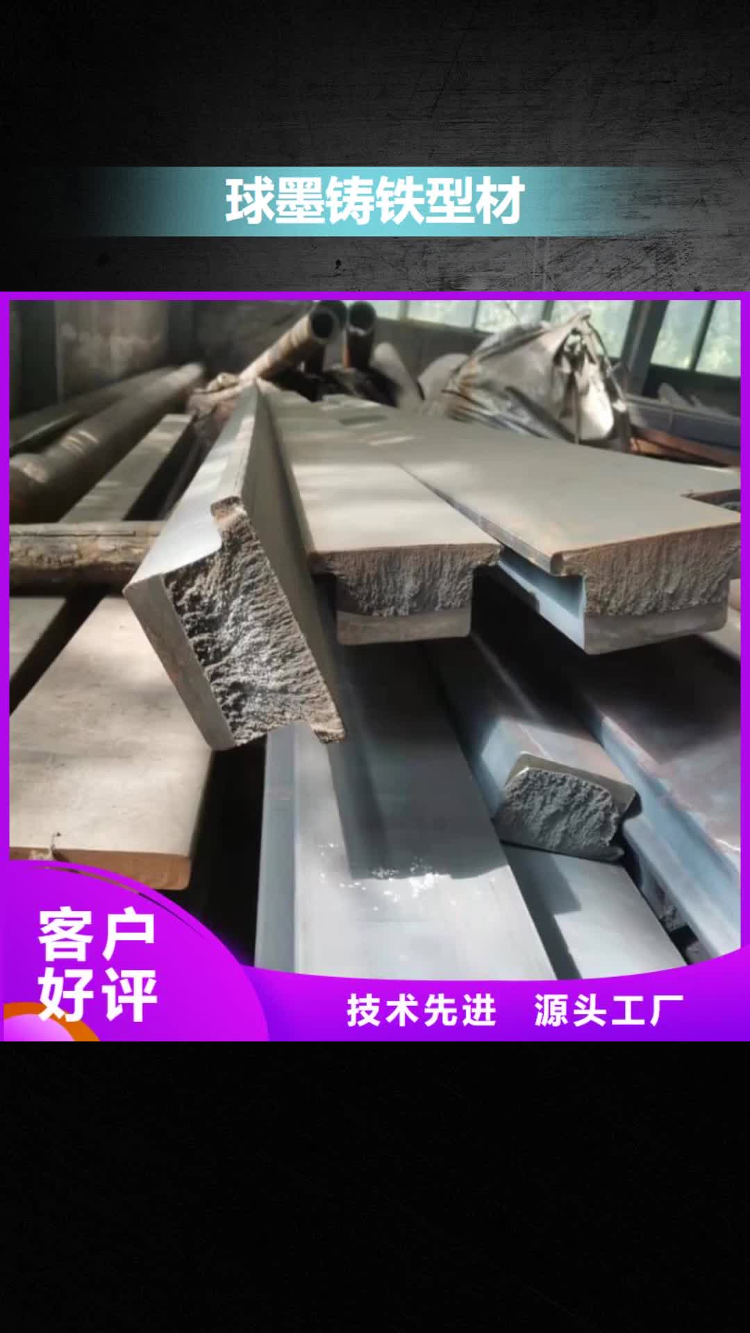 昭通【球墨铸铁型材】_柔性铸铁排水管厂家支持定制贴心售后