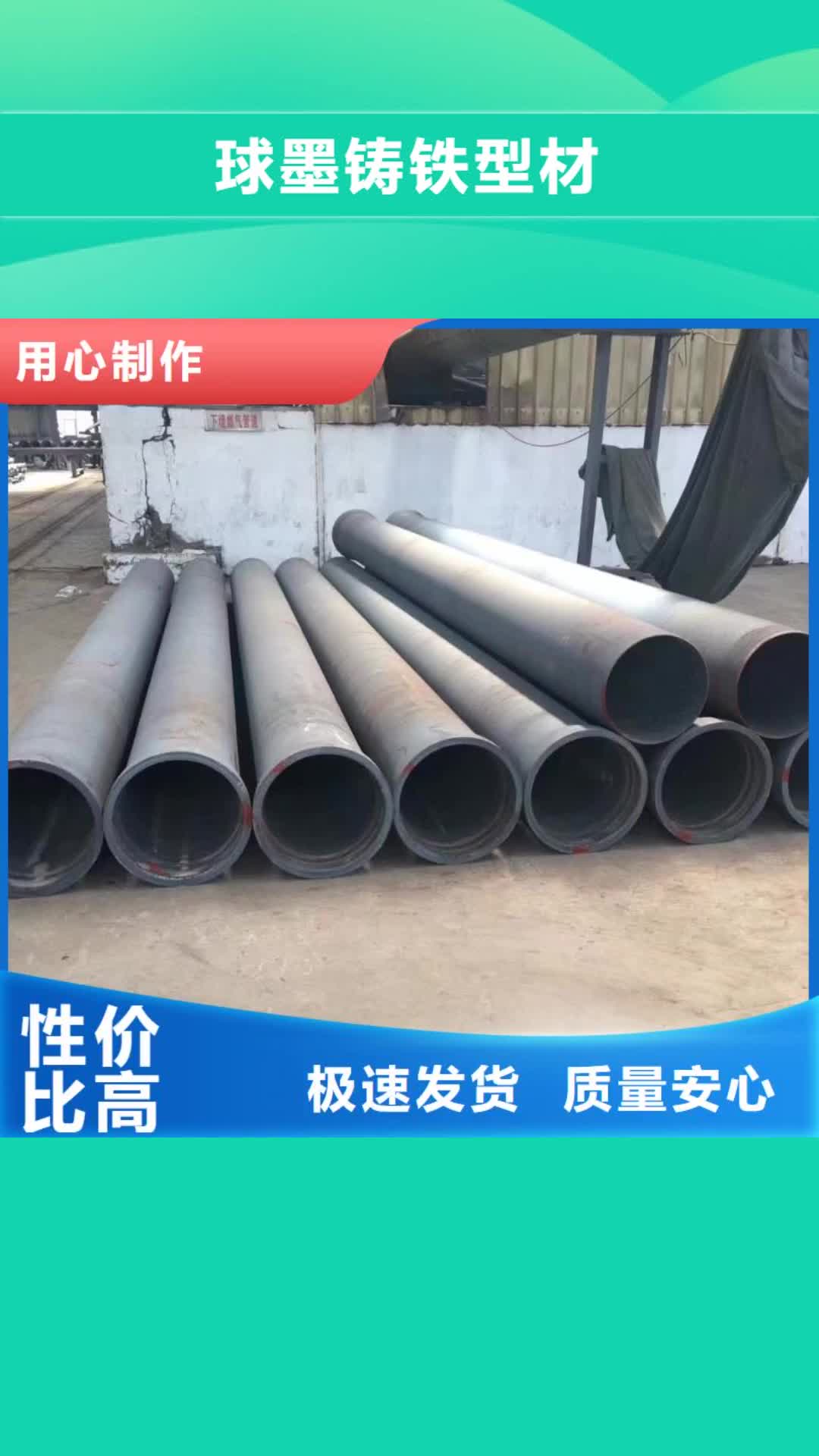 江西【球墨铸铁型材】-球墨铸铁棒真材实料