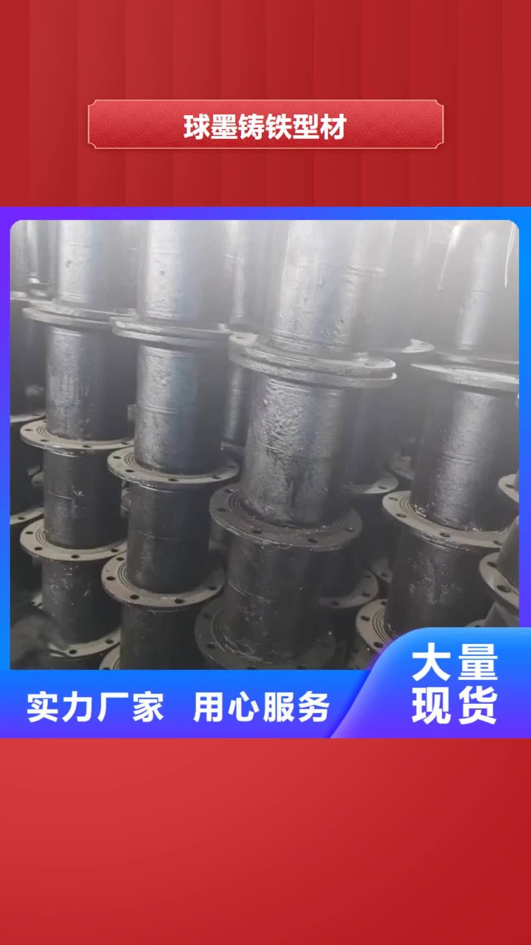 【汕头 球墨铸铁型材,球墨铸铁棒检验发货】