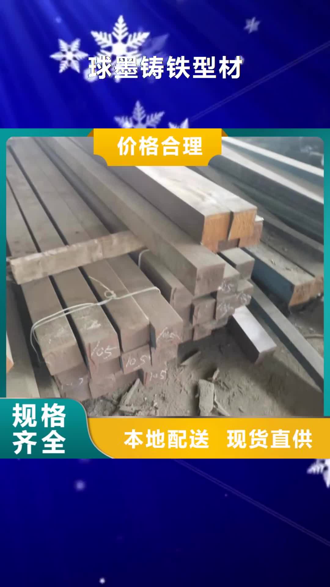 盐城 球墨铸铁型材 【球墨铸铁棒】厂家实力雄厚