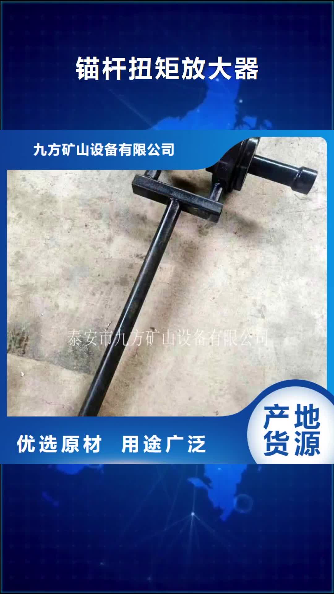 宣城【锚杆扭矩放大器】,综采支架测压双表生产厂家