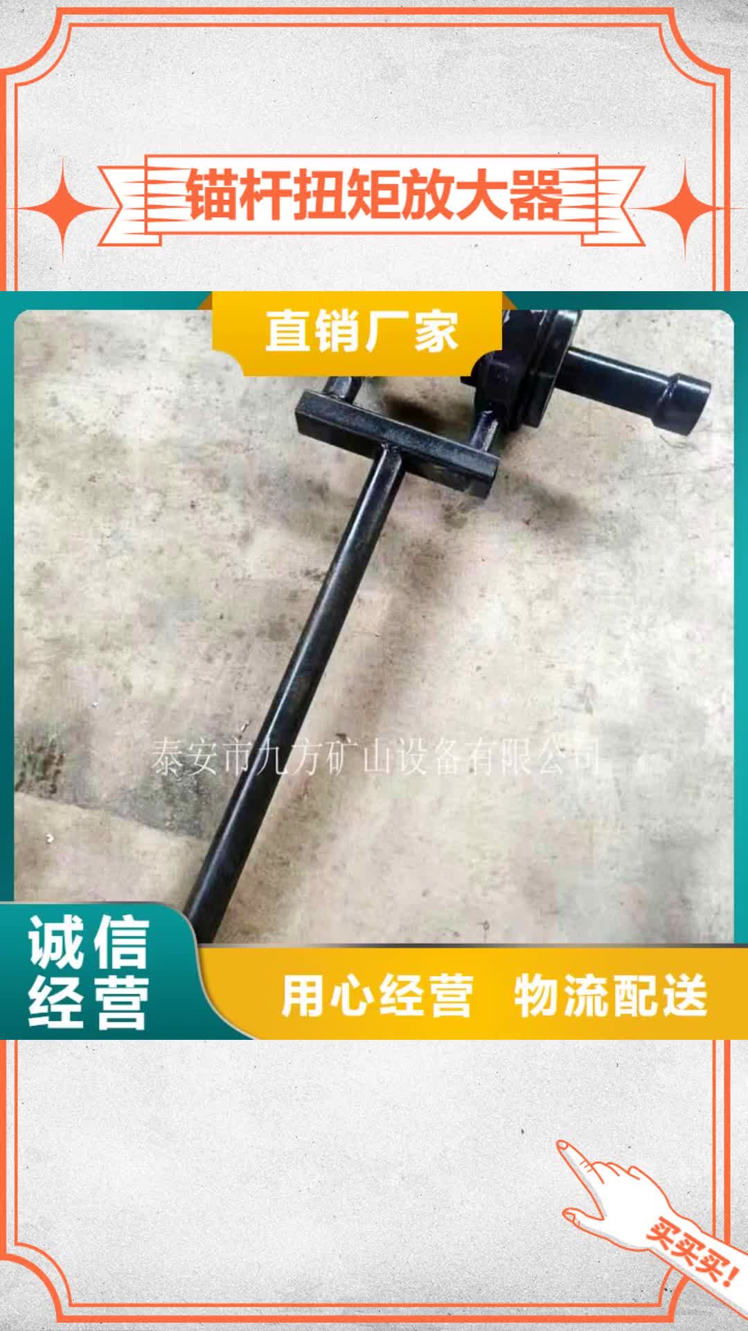 邵阳 锚杆扭矩放大器-【单体支柱测压仪】厂家十分靠谱