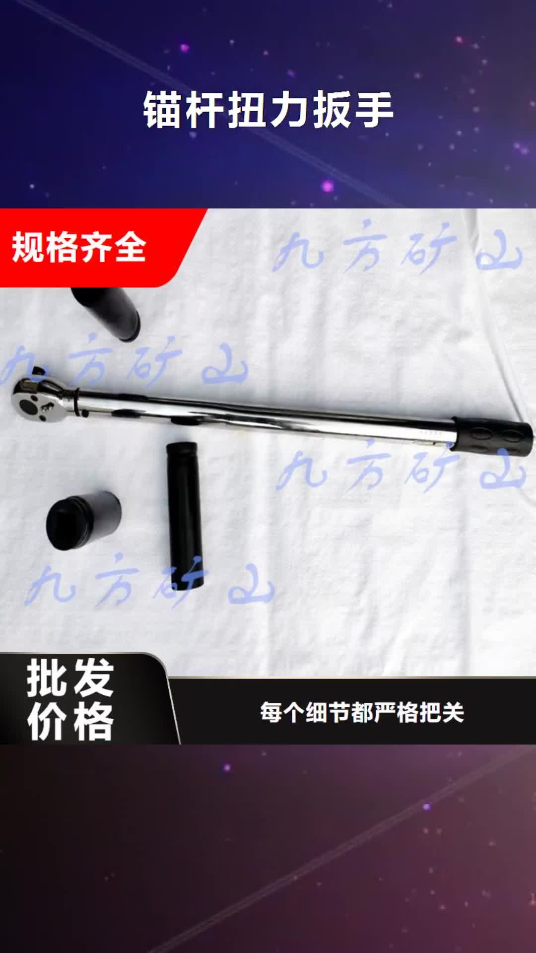 【新余 锚杆扭力扳手,单体支柱测压仪专业生产N年】