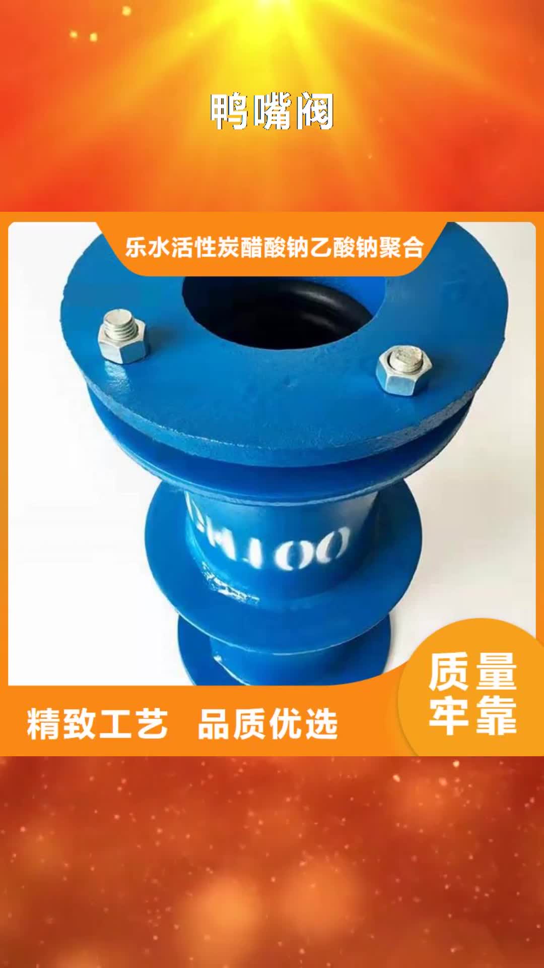 【长春 鸭嘴阀-椰壳活性炭厂家商家】