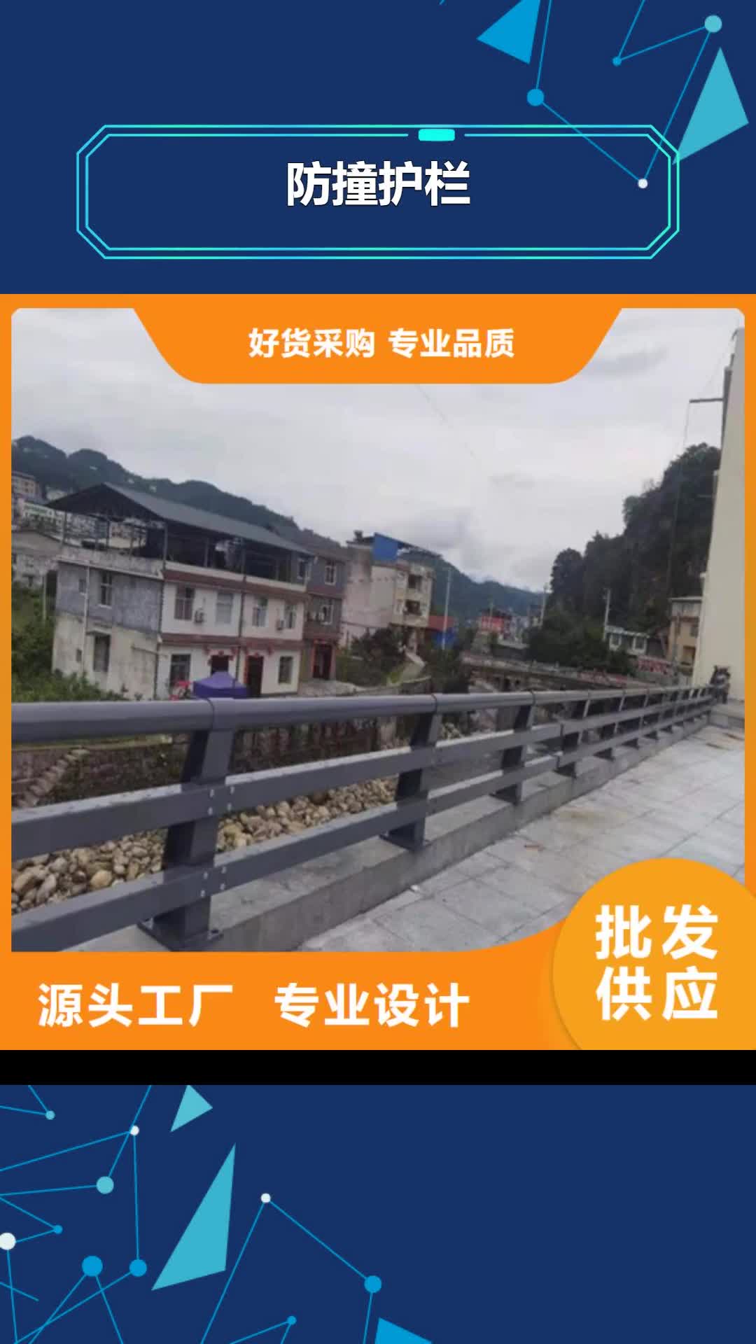 【阜阳 防撞护栏人行道栏杆做工细致】