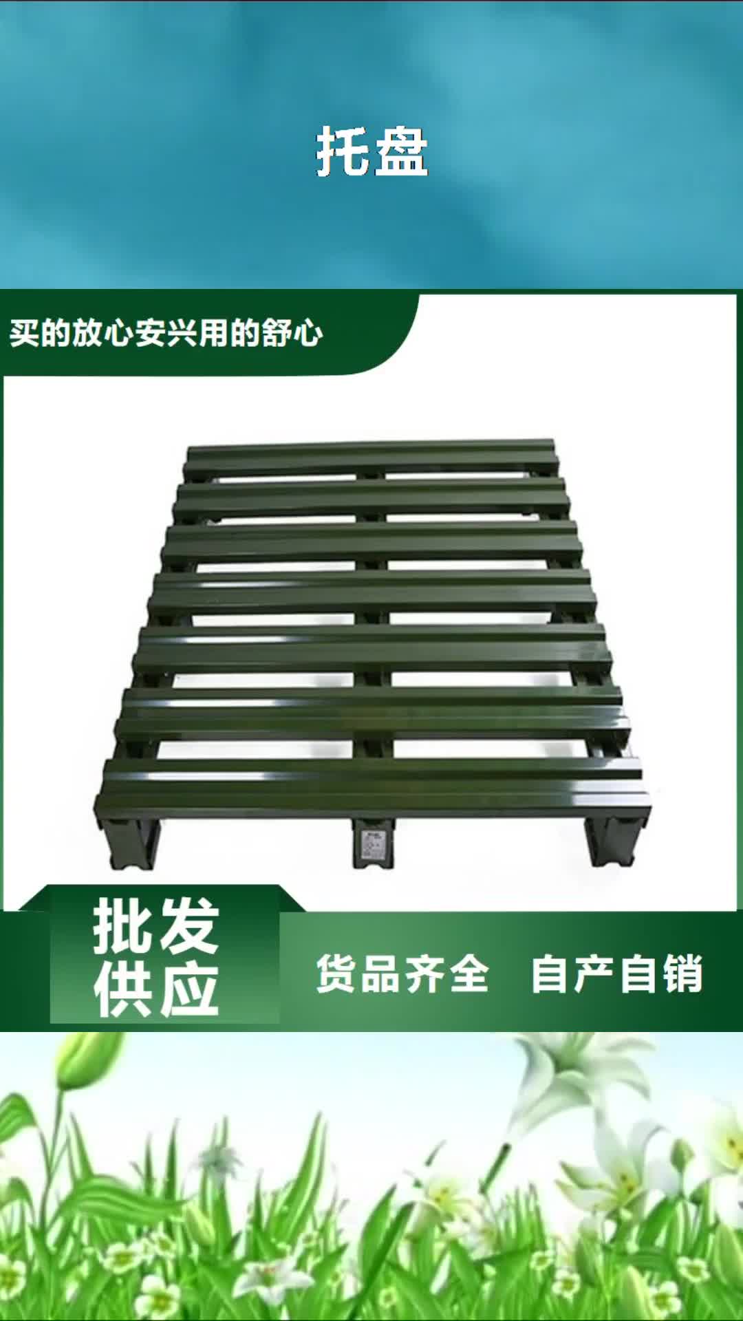 【银川 托盘_轻中重型仓储货架现货供应】