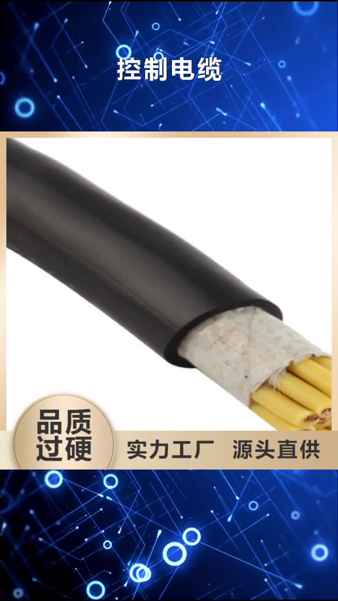 【内江 控制电缆-电力电缆实力见证】