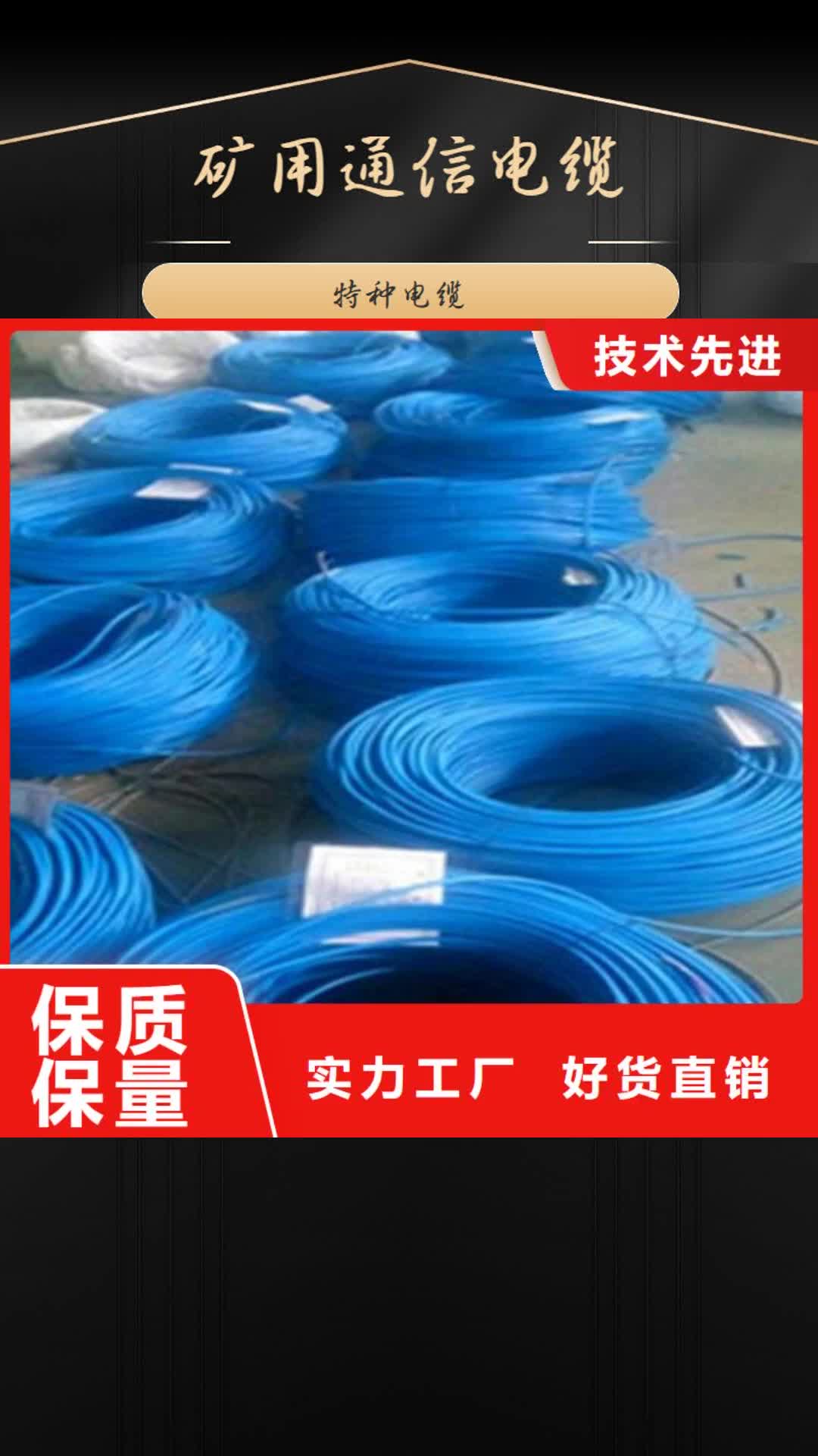 【黄石 矿用通信电缆-电缆生产厂家高品质诚信厂家】