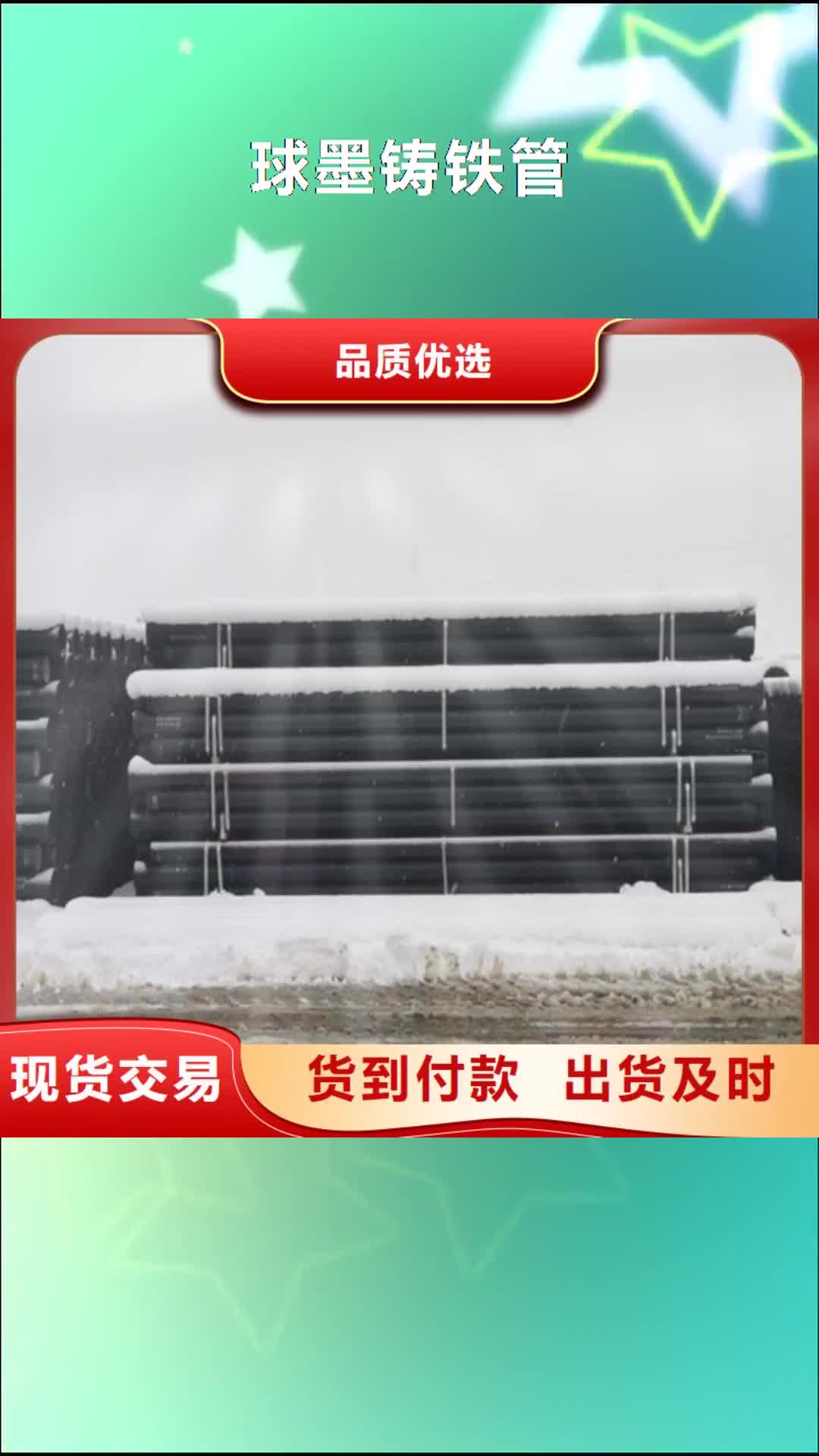 辽宁【球墨铸铁管】-球墨铸铁井盖超产品在细节