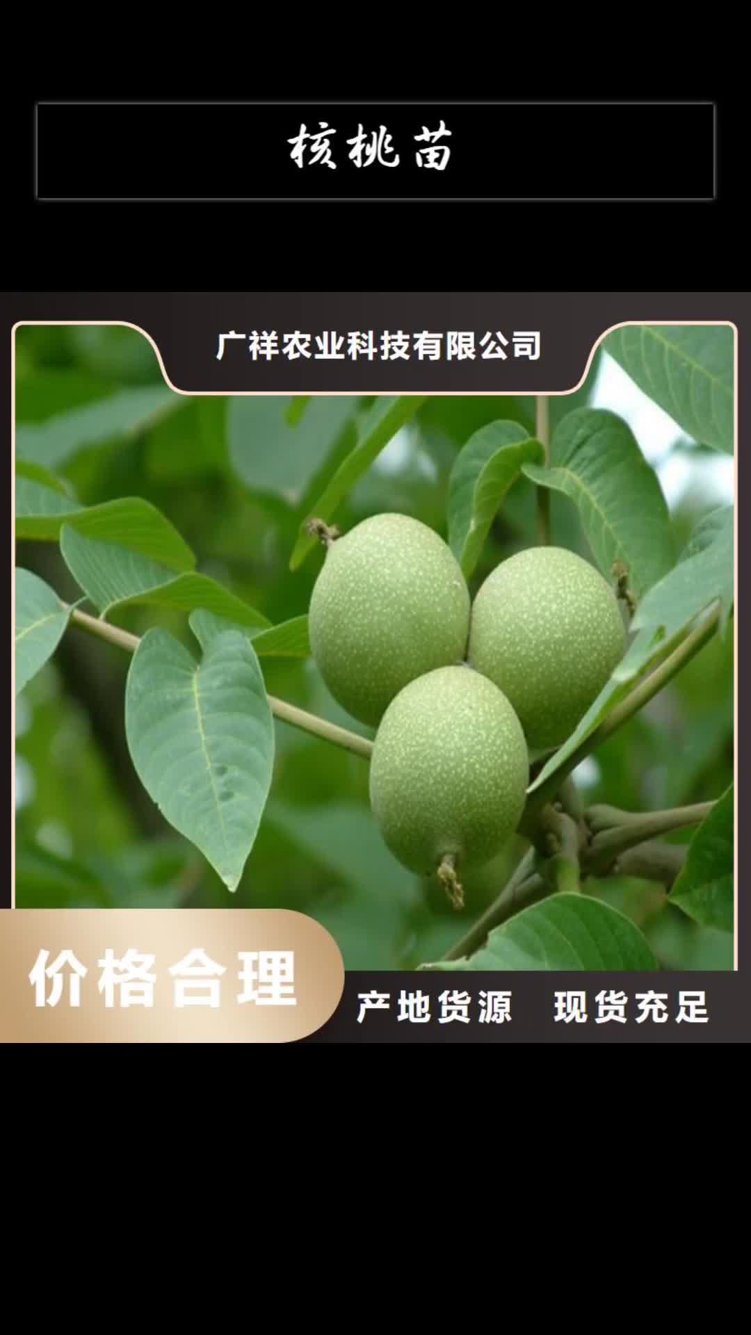 商丘【核桃苗】_桃树苗免费询价