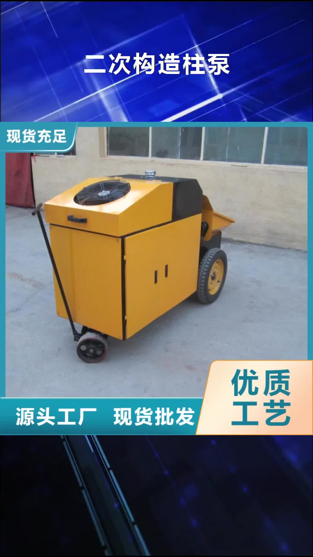 【六盘水 二次构造柱泵_混凝土输送泵每个细节都严格把关】