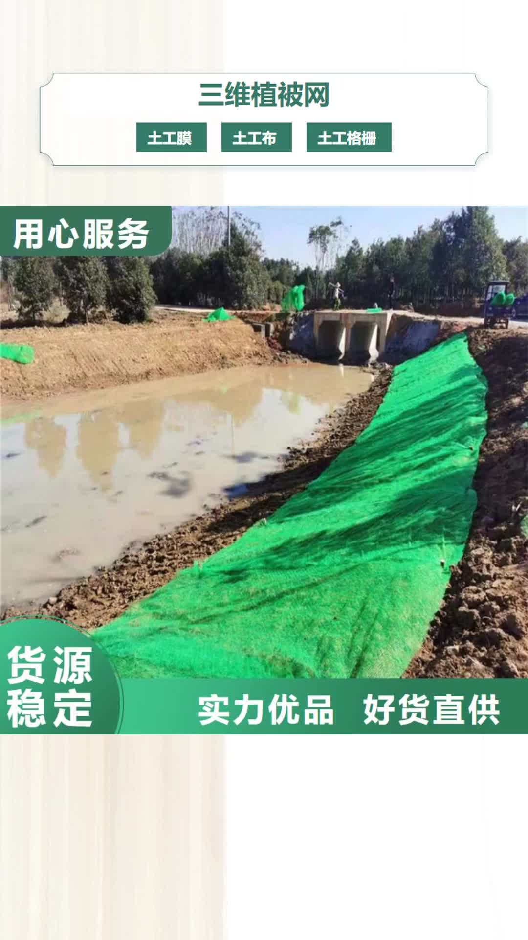 【三亚 三维植被网防水毯质检合格发货】