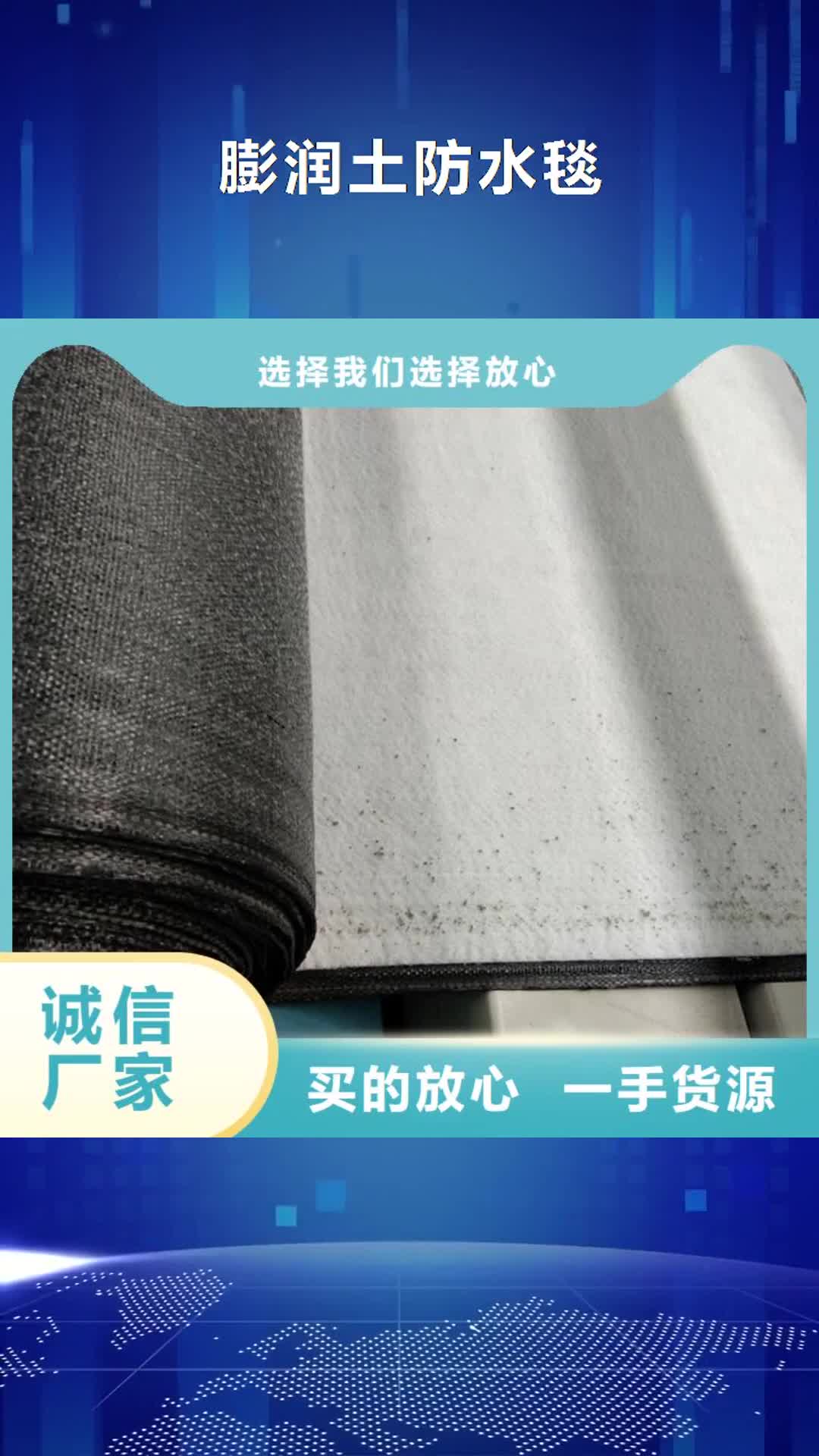 黑龙江 膨润土防水毯_【土工格栅】货品齐全
