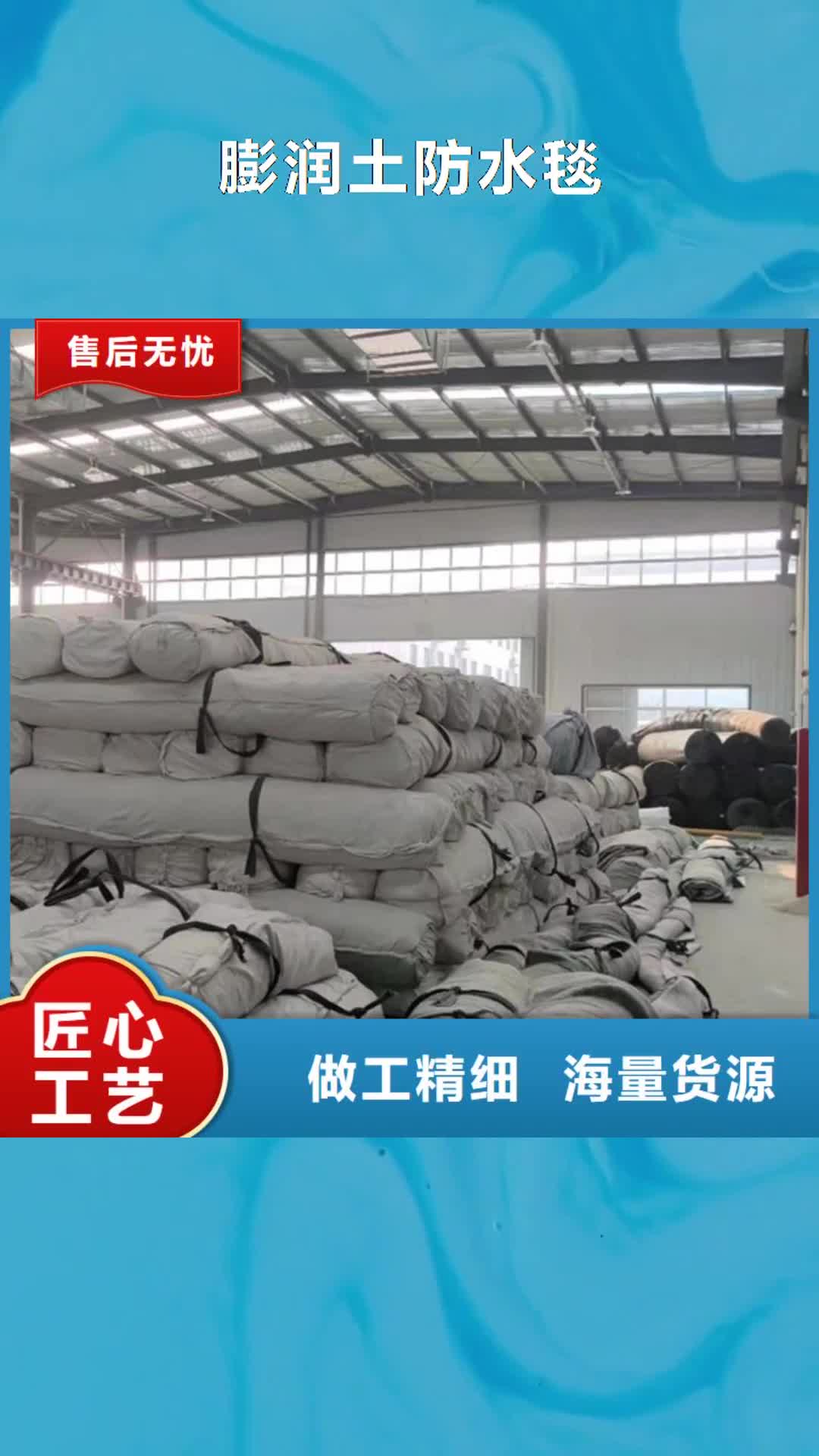 岳阳【膨润土防水毯】 土工格栅品牌专营