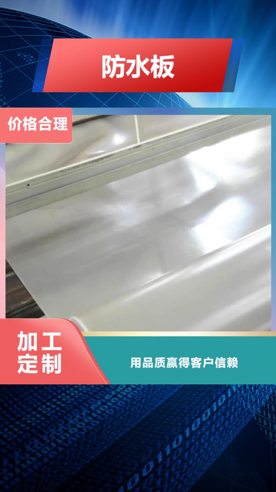 新疆【防水板】,土工格栅多种工艺