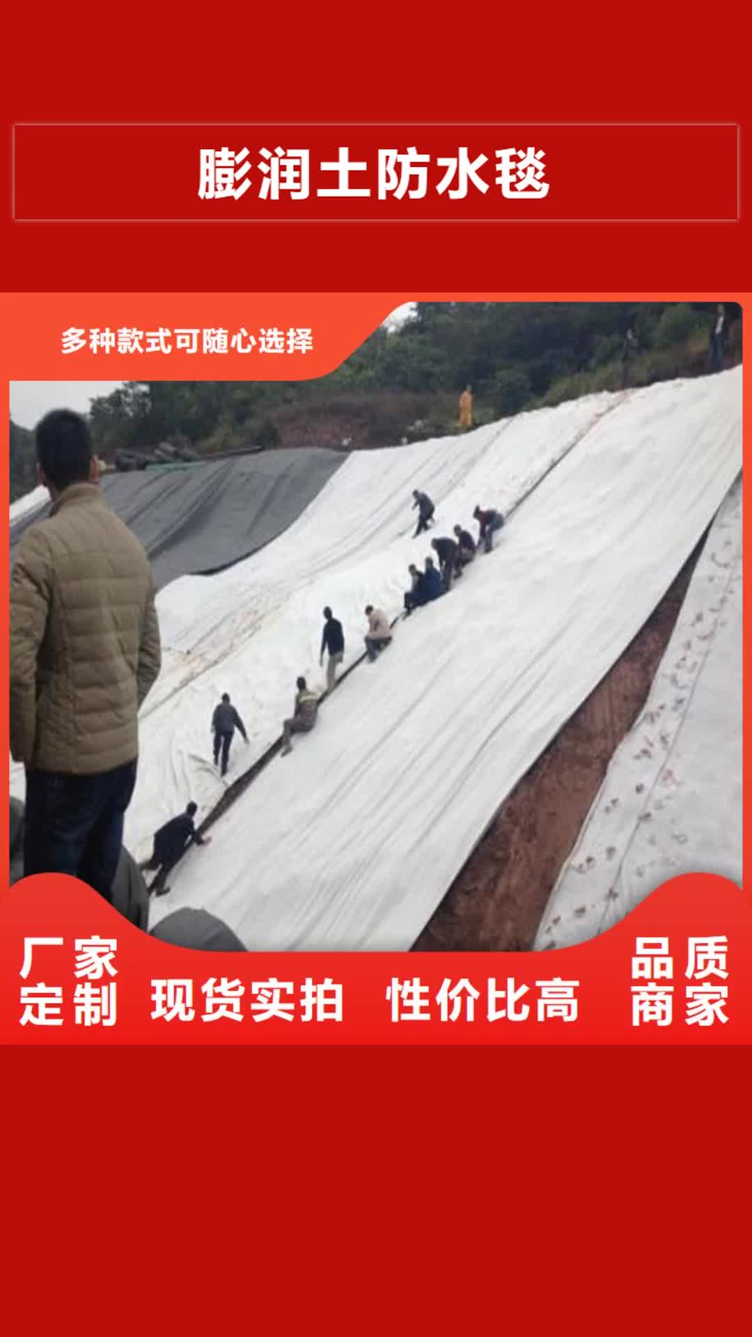 海南【膨润土防水毯】,土工膜欢迎新老客户垂询