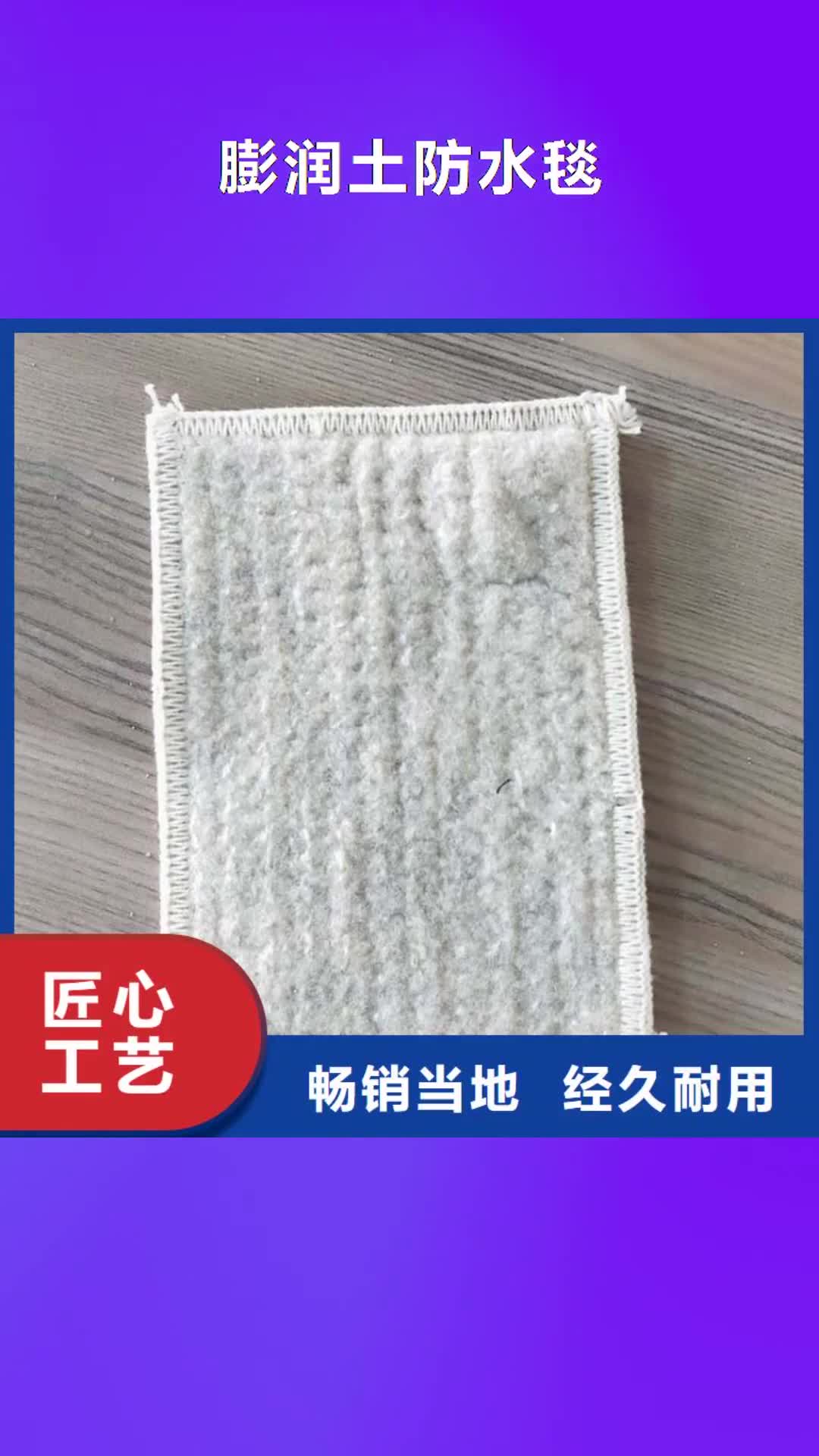 柳州 膨润土防水毯【通风降噪丝网】品牌大厂家