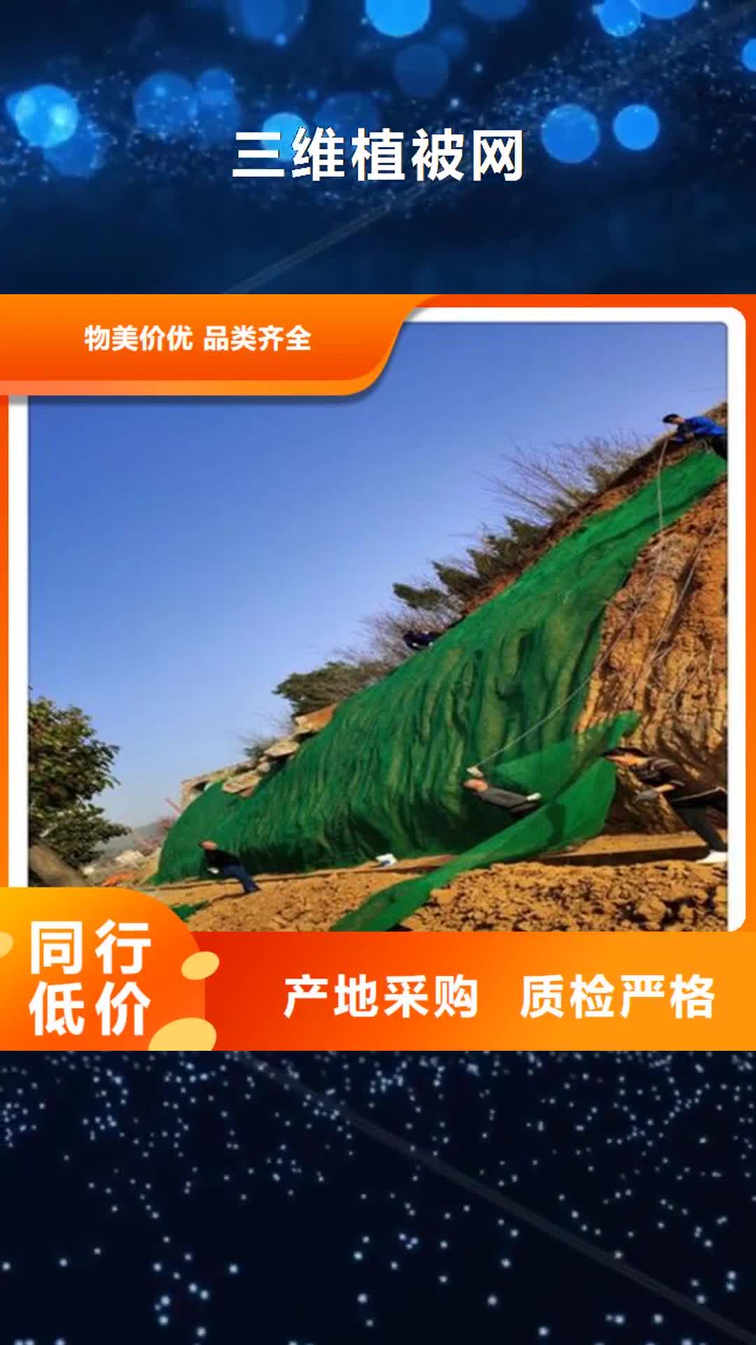 【湛江 三维植被网_HDPE复合排水板0中间商差价】