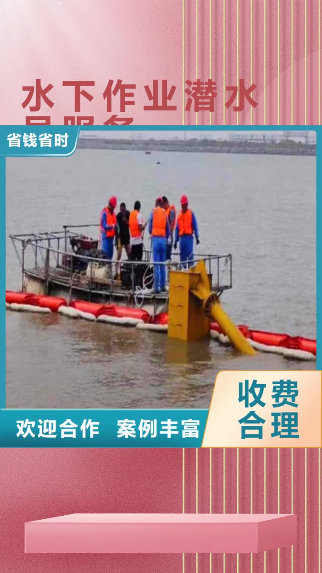 菏泽水下作业潜水员服务模袋水下施工多家服务案例