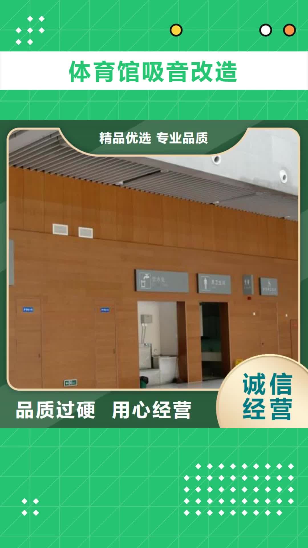 【漯河 体育馆吸音改造体育馆空间吸声体厂家品质信得过】