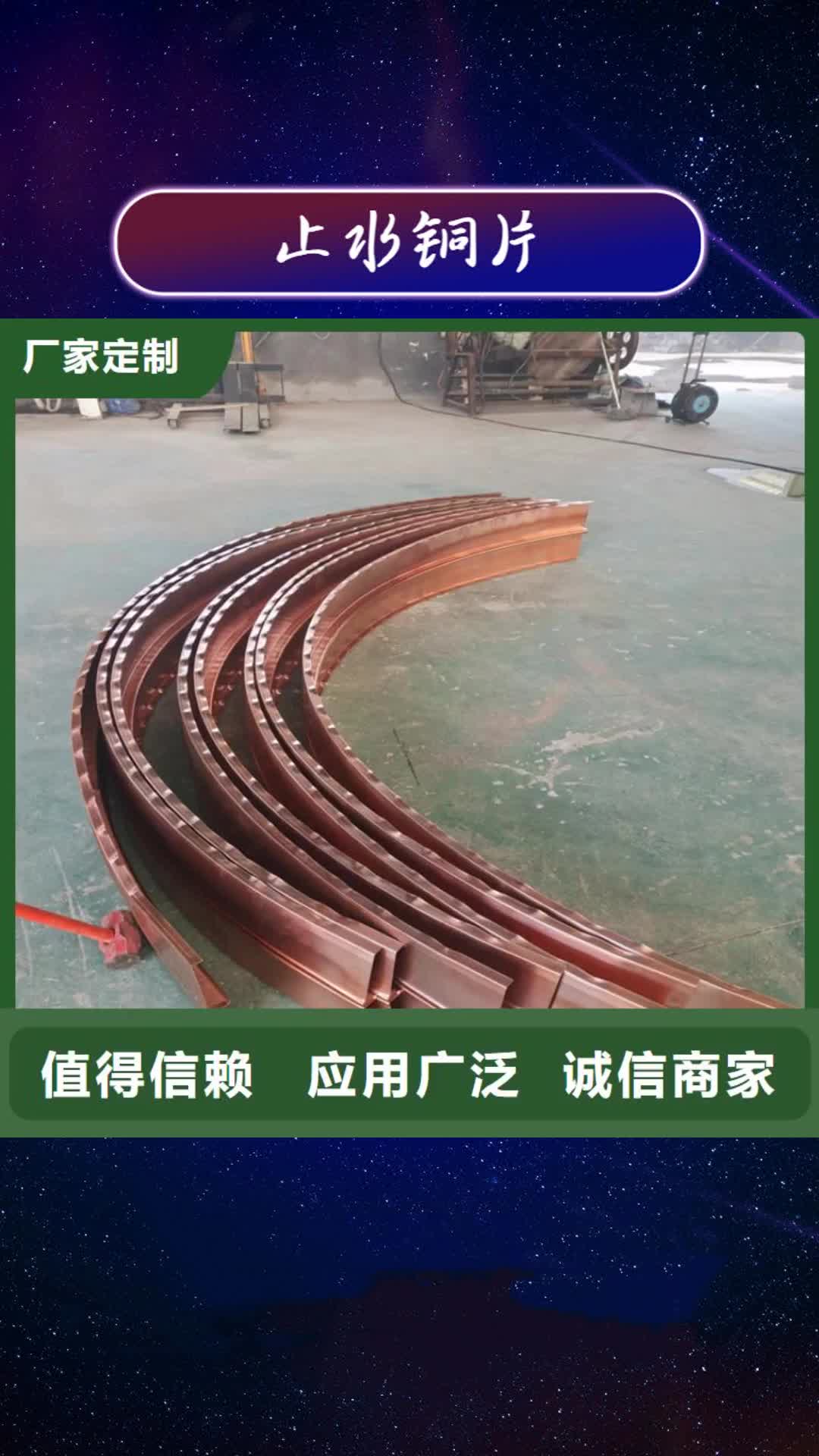 【海西 止水铜片土工膜支持定制】