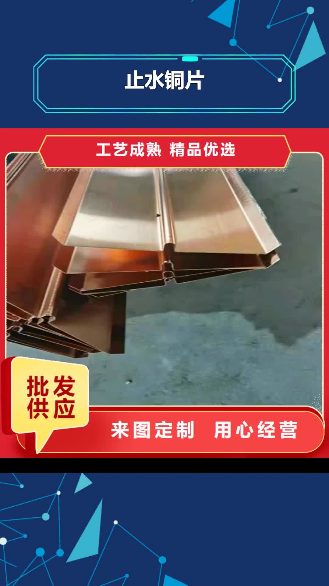 来宾 止水铜片 【螺旋形聚乙烯醇纤维】直销厂家
