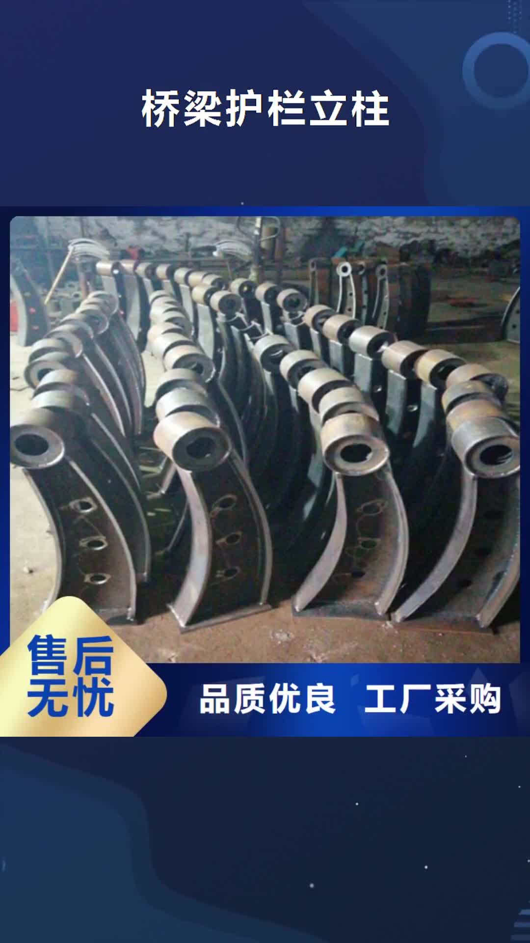惠州 桥梁护栏立柱-【道路隔离栏】打造好品质