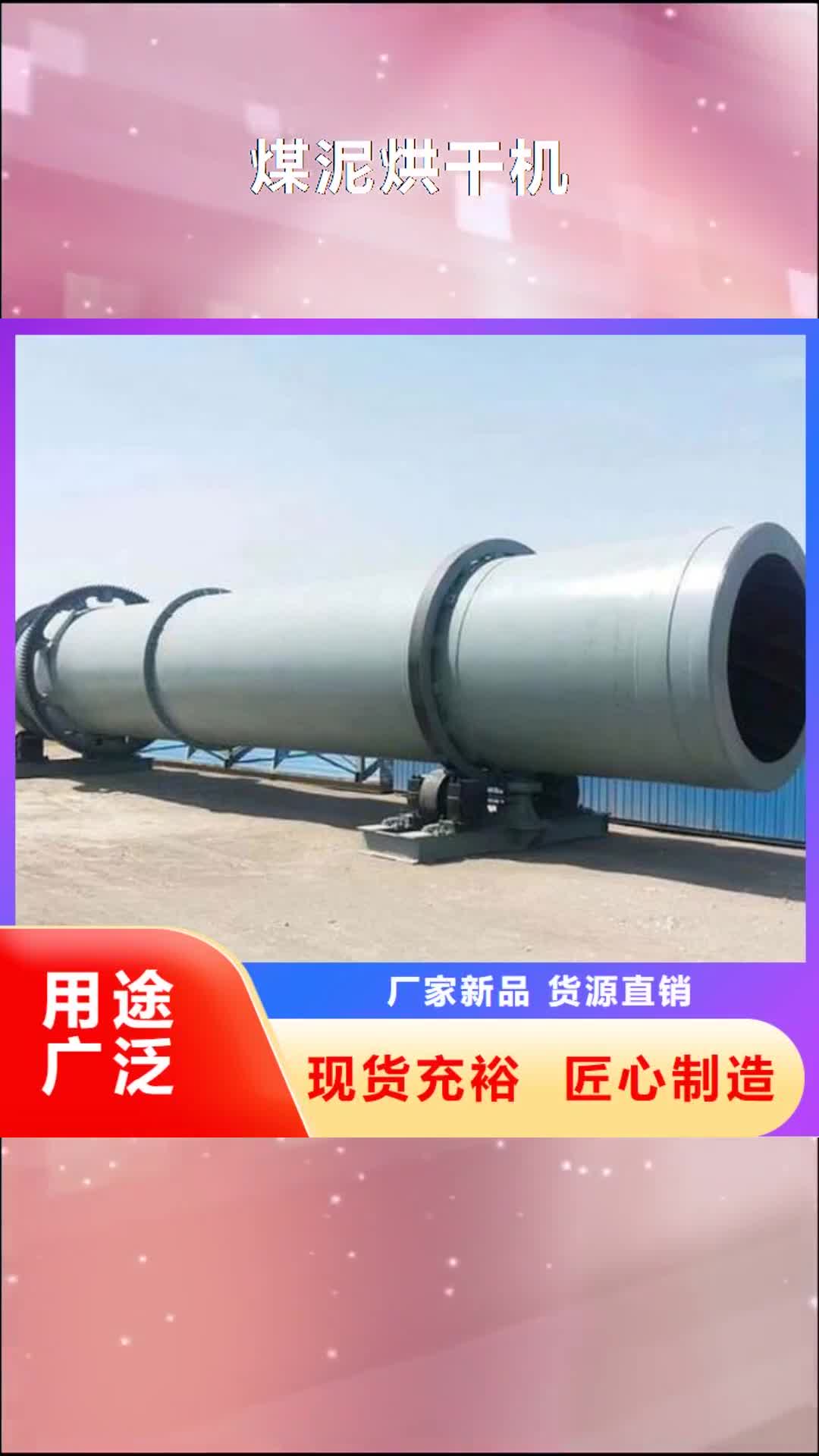 金昌 煤泥烘干机【污泥烘干机厂家】加工定制