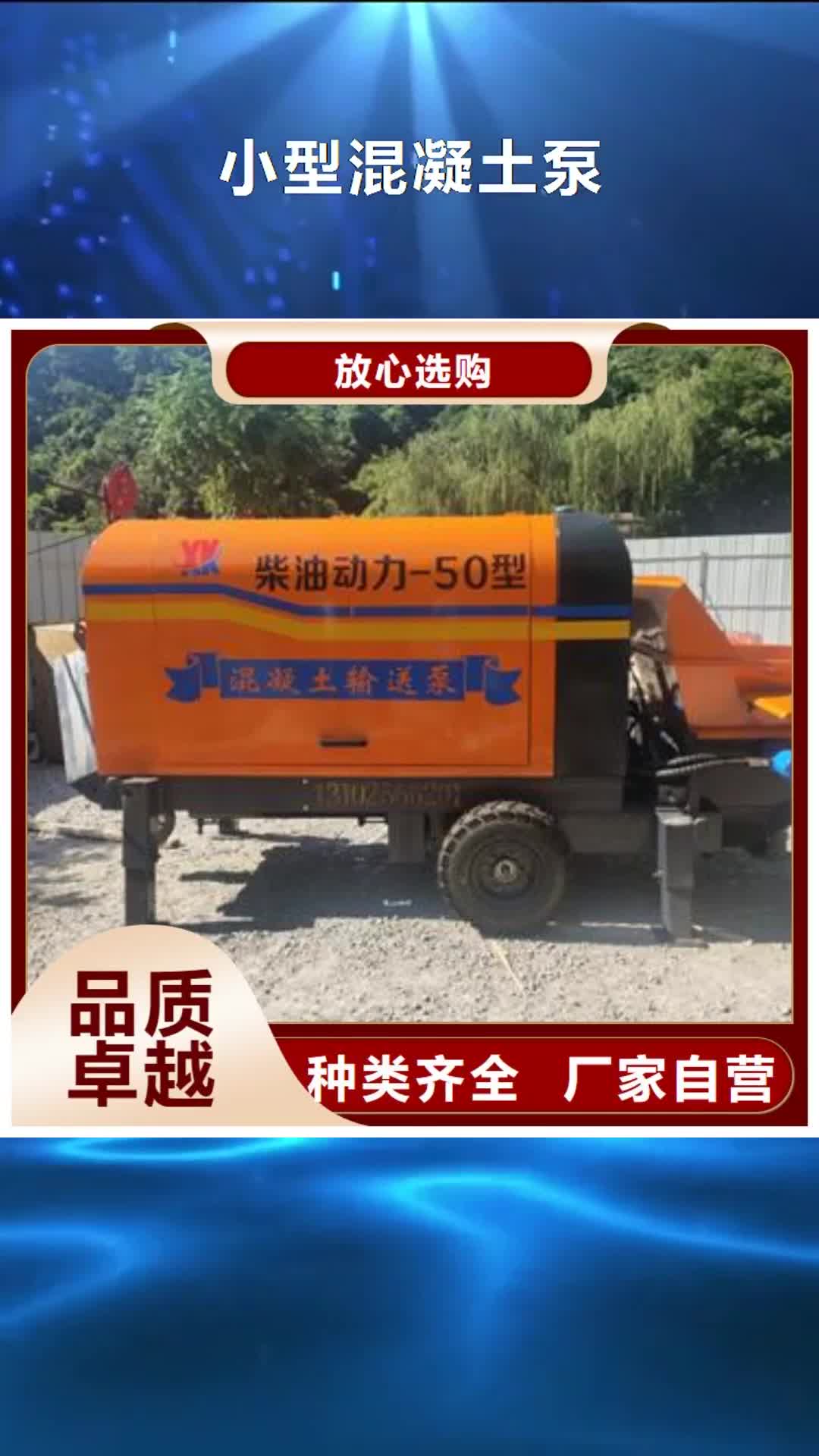 玉溪【小型混凝土泵】_混凝土浇筑泵实体诚信厂家