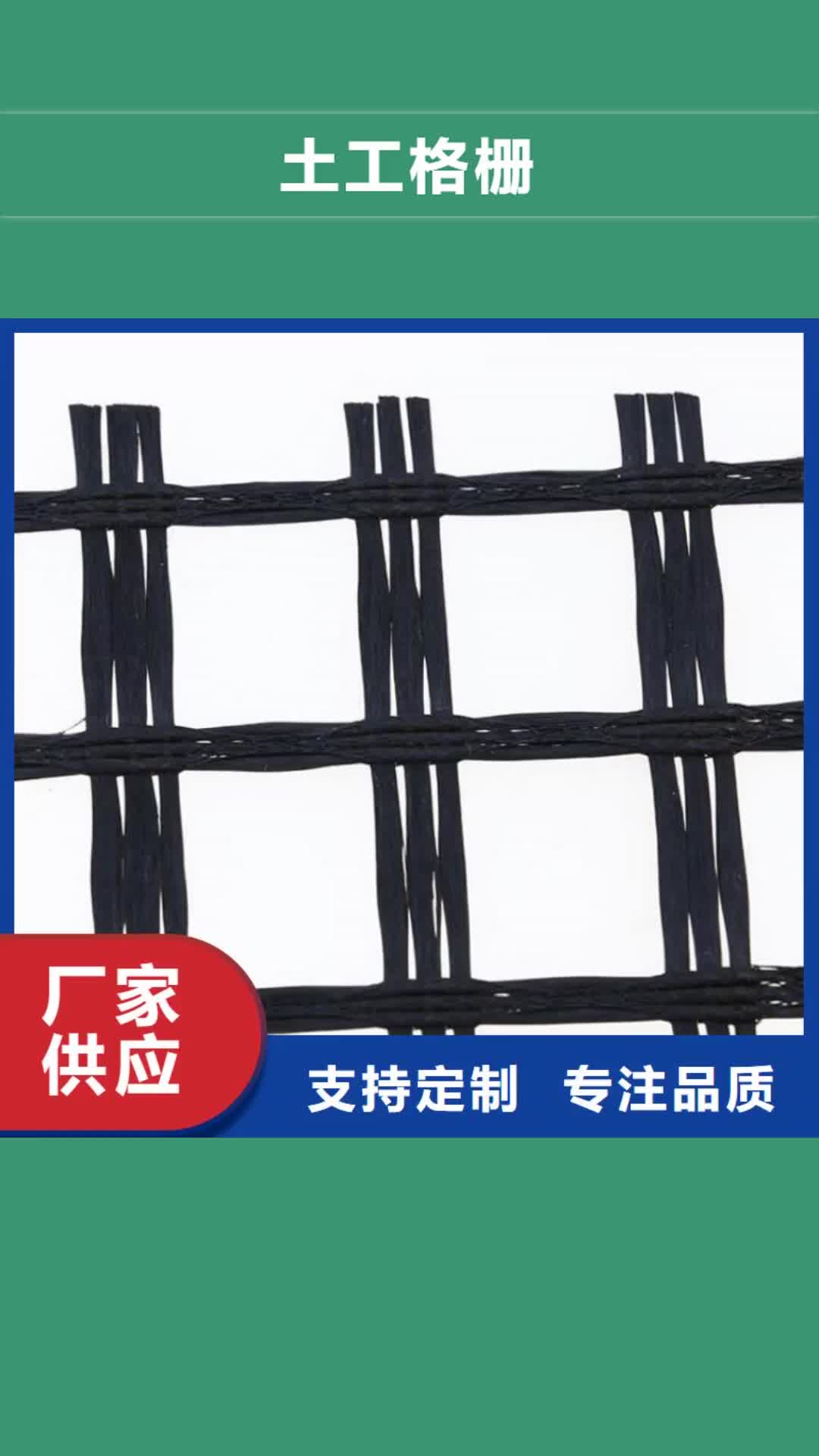 【玉溪 土工格栅_HDPE土工膜专业厂家】