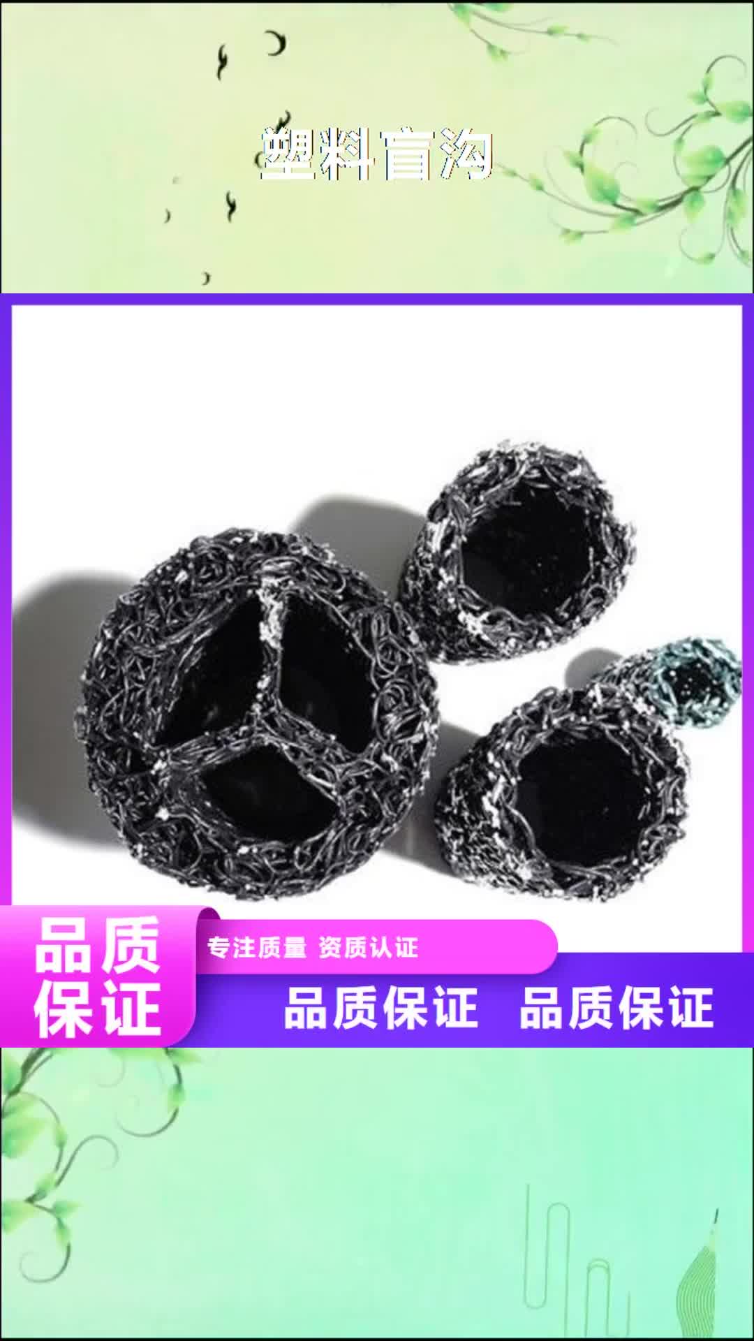 【西宁 塑料盲沟-HDPE土工膜同行低价】