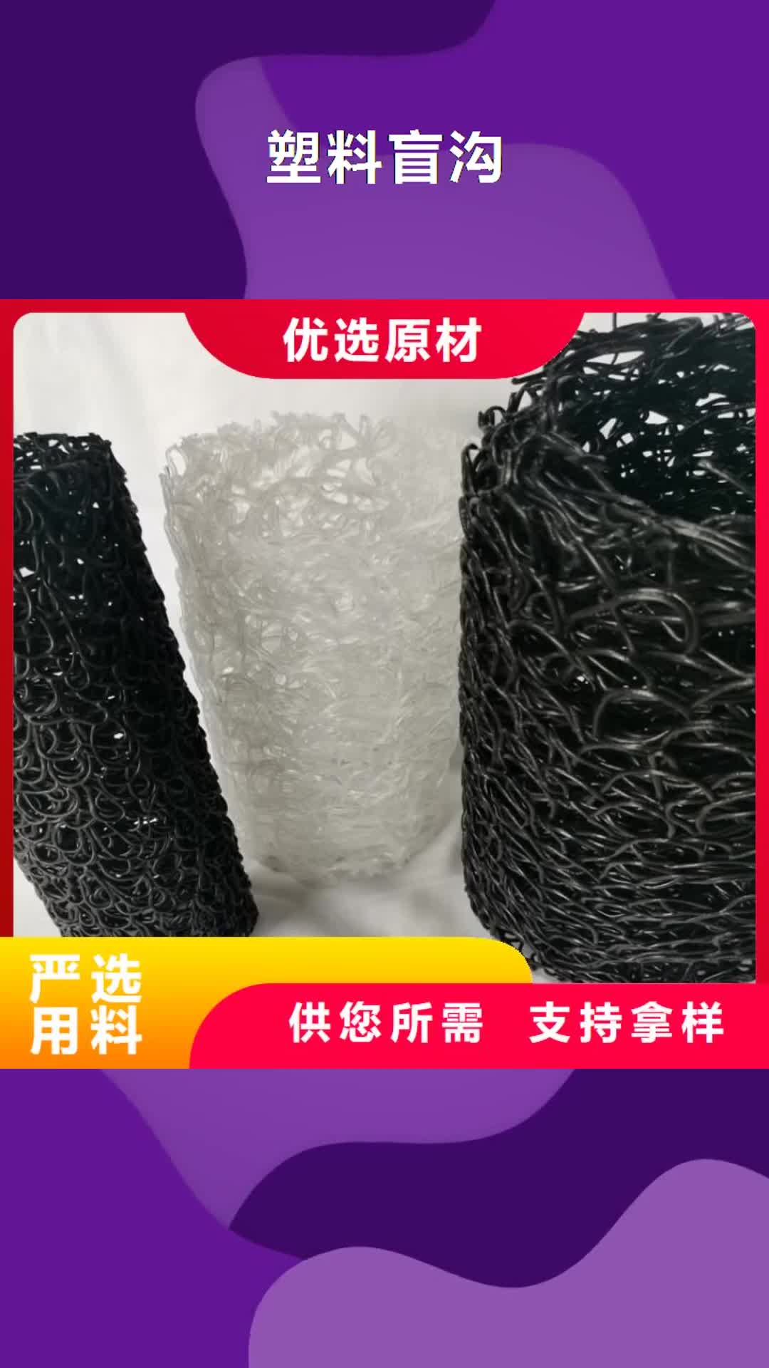 【滨州 塑料盲沟 土工膜满足客户所需】